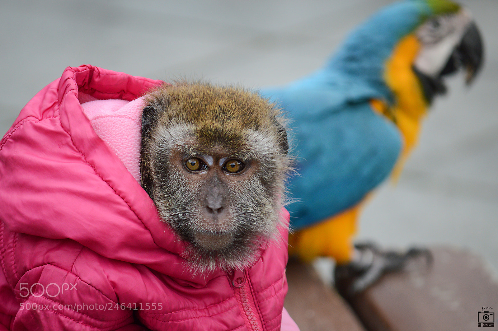 Nikon D3200 sample photo. Untitled photography