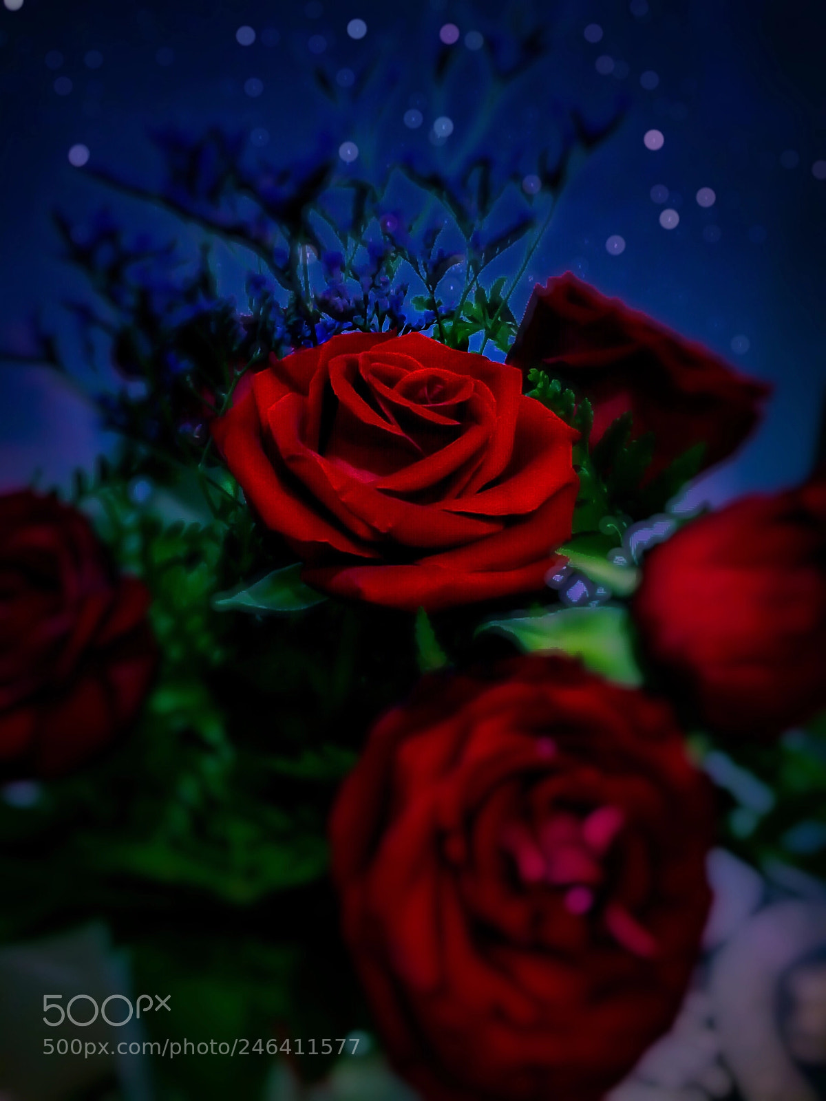 Apple iPhone 5s sample photo. Rose photography