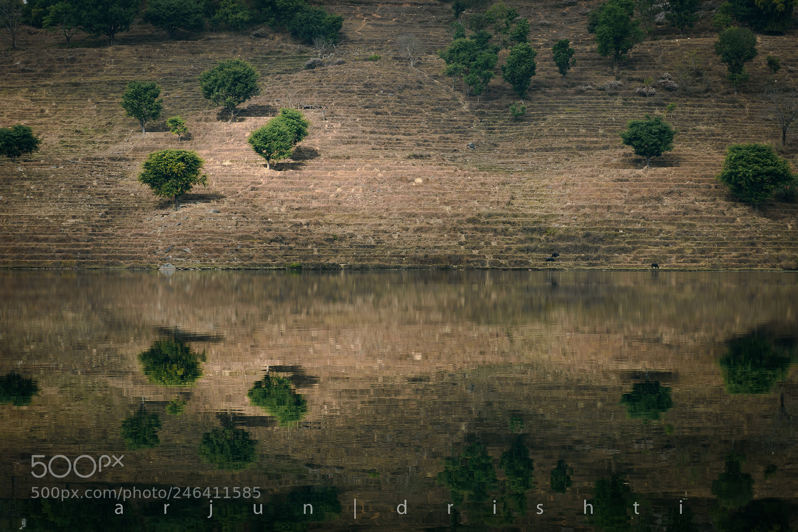 Nikon D7200 sample photo. Shadows & reflection photography