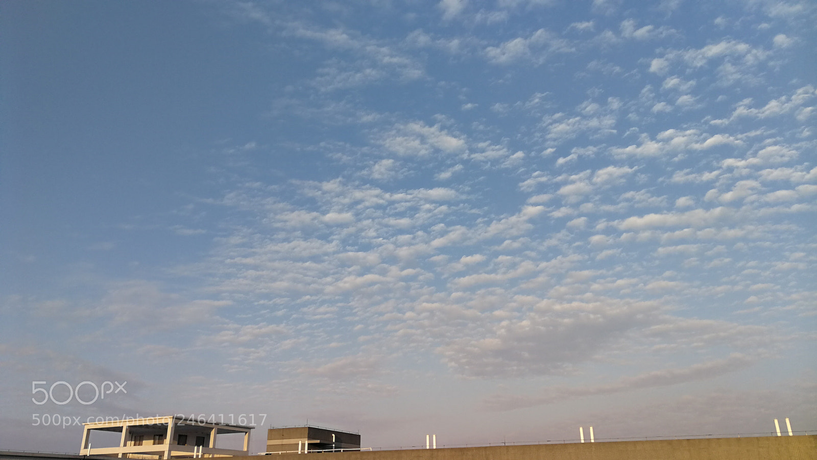 HUAWEI P10 Plus sample photo. Untitled photography