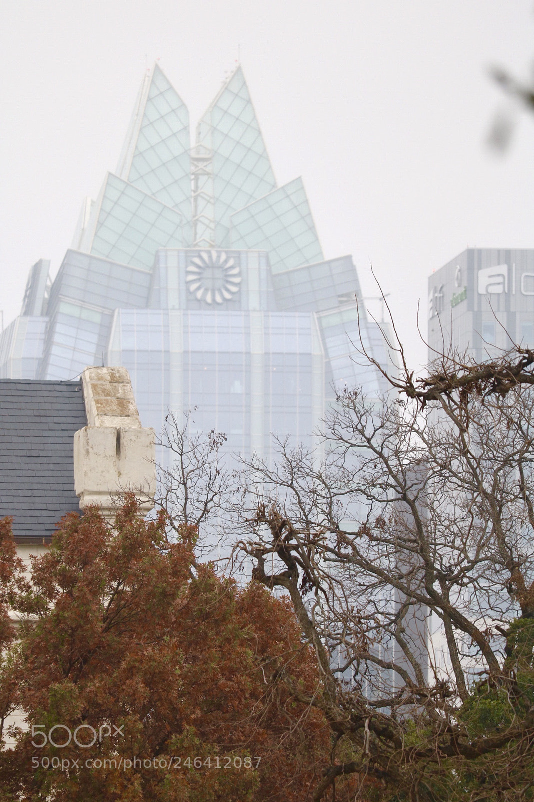 Canon EOS 750D (EOS Rebel T6i / EOS Kiss X8i) sample photo. Trees, fog and buildings photography