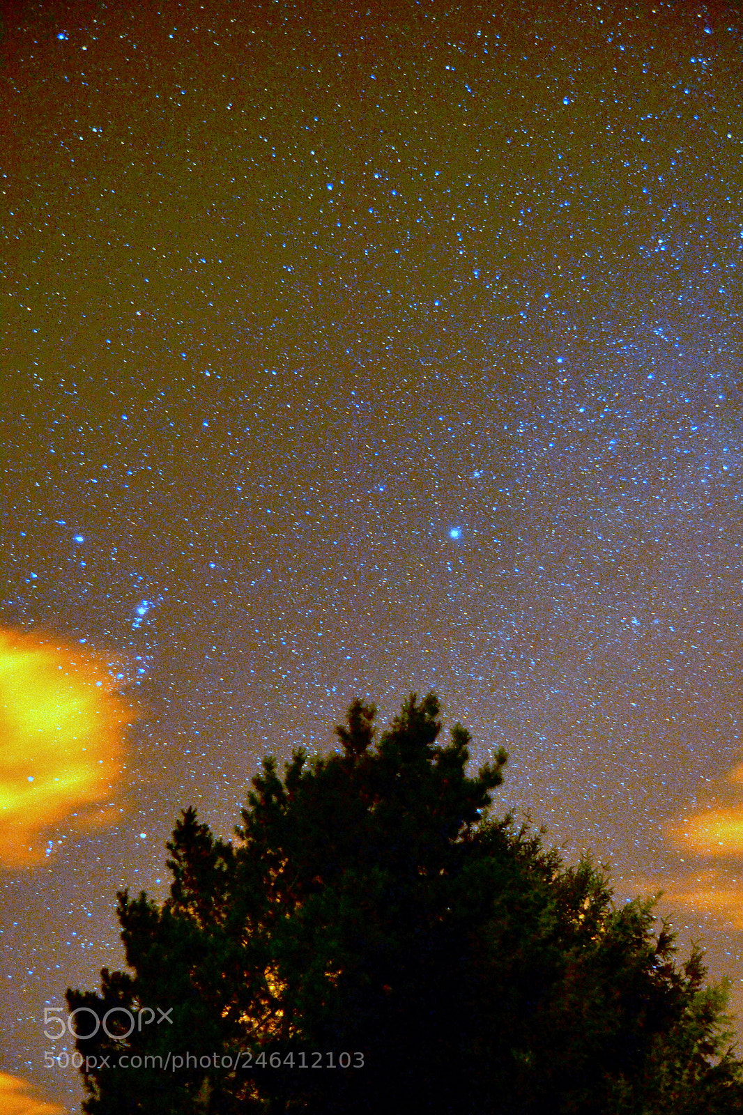Nikon D3100 sample photo. 2017. bariloche y osorno photography