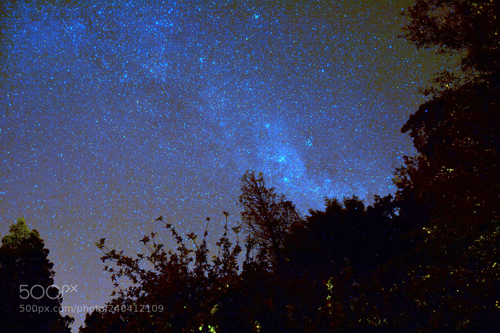 Nikon D3100 sample photo. 2017. bariloche y osorno photography
