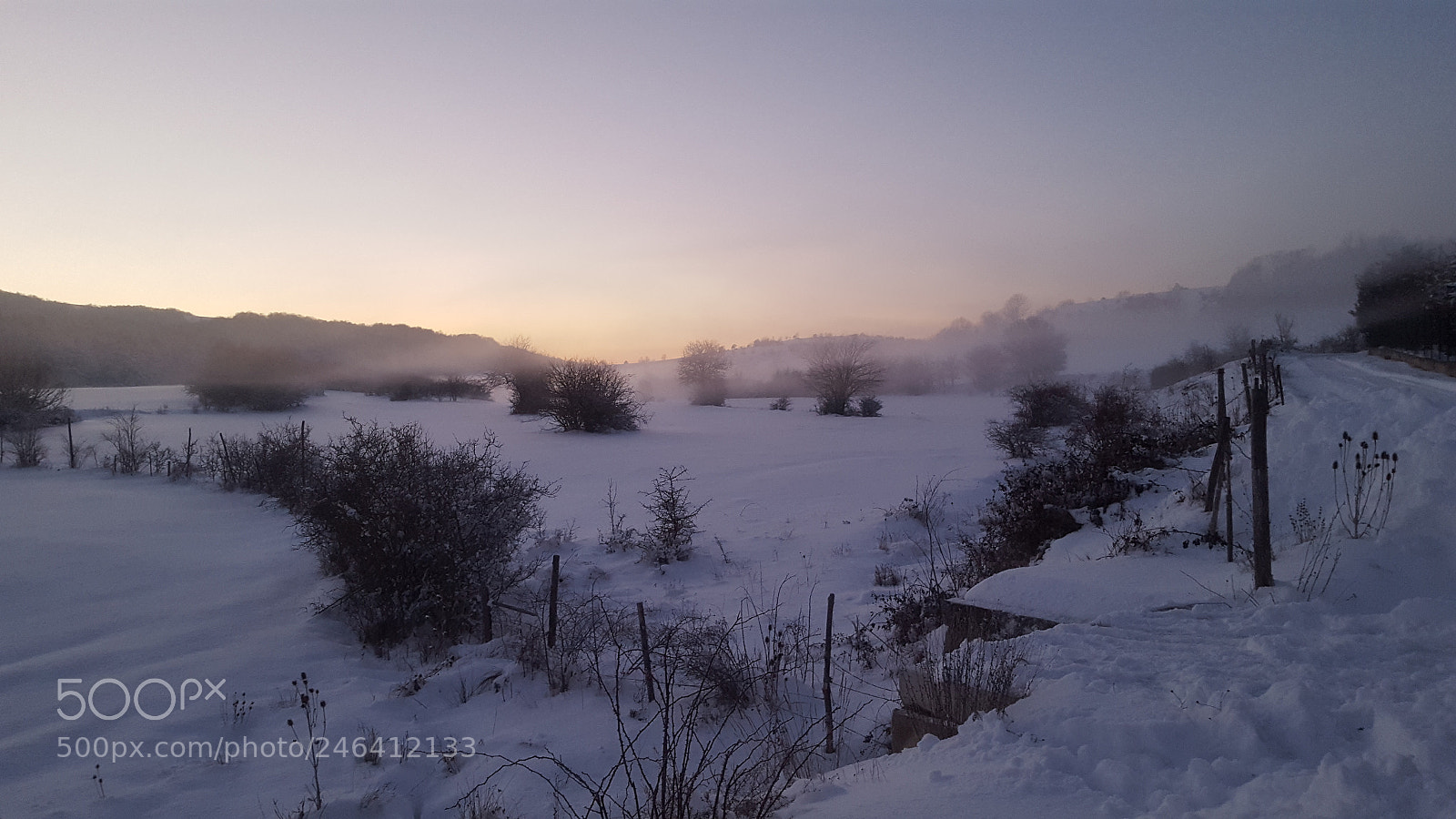 Samsung Galaxy S6 sample photo. Fog photography