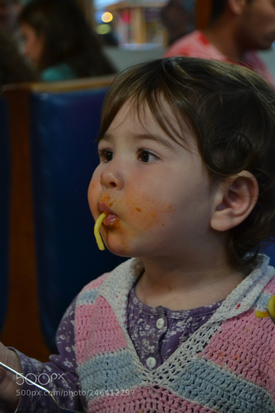 Nikon D3100 sample photo. 2017. bariloche y osorno photography