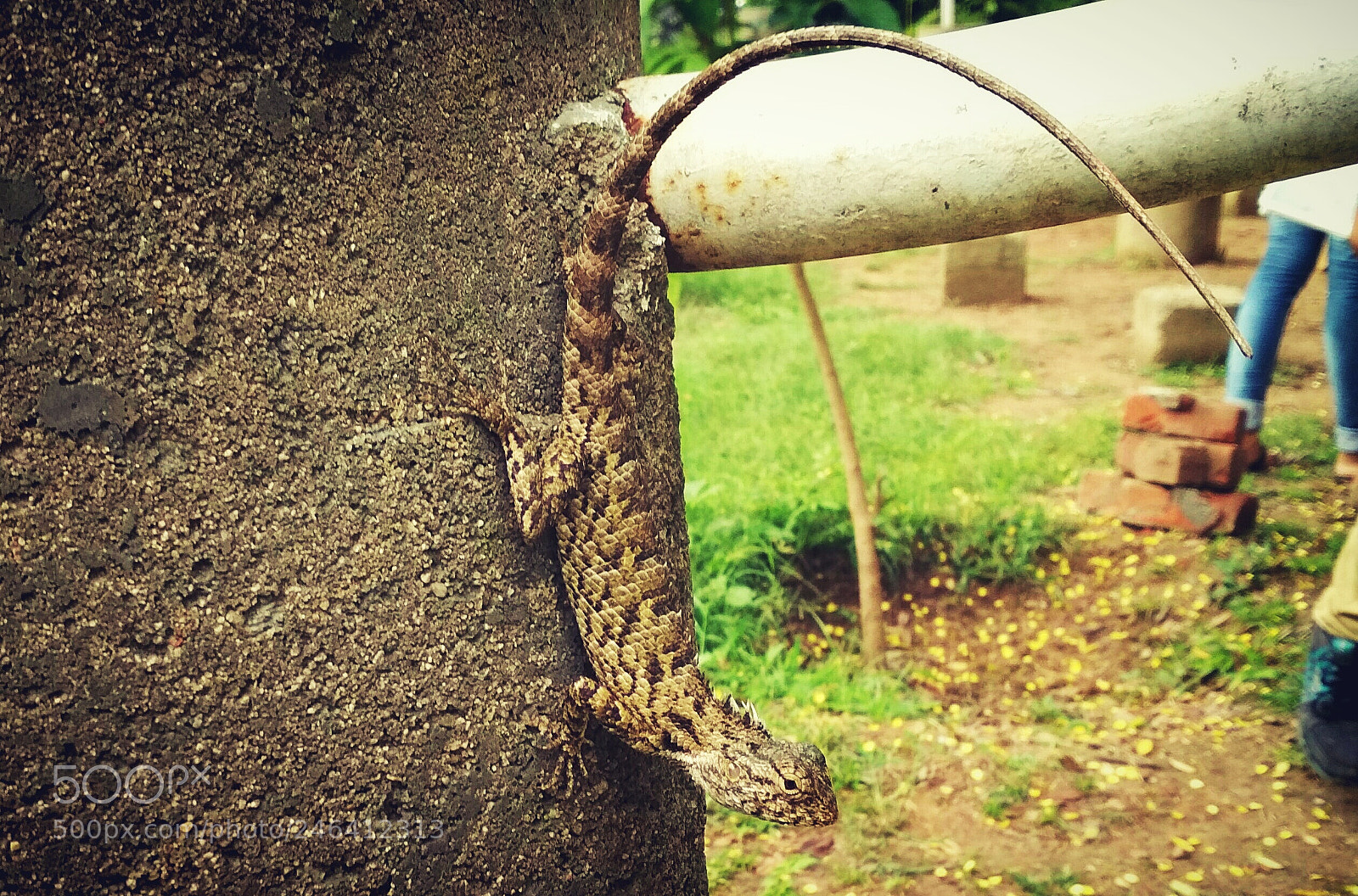 Xiaomi Redmi 4 Pro sample photo. Untitled photography
