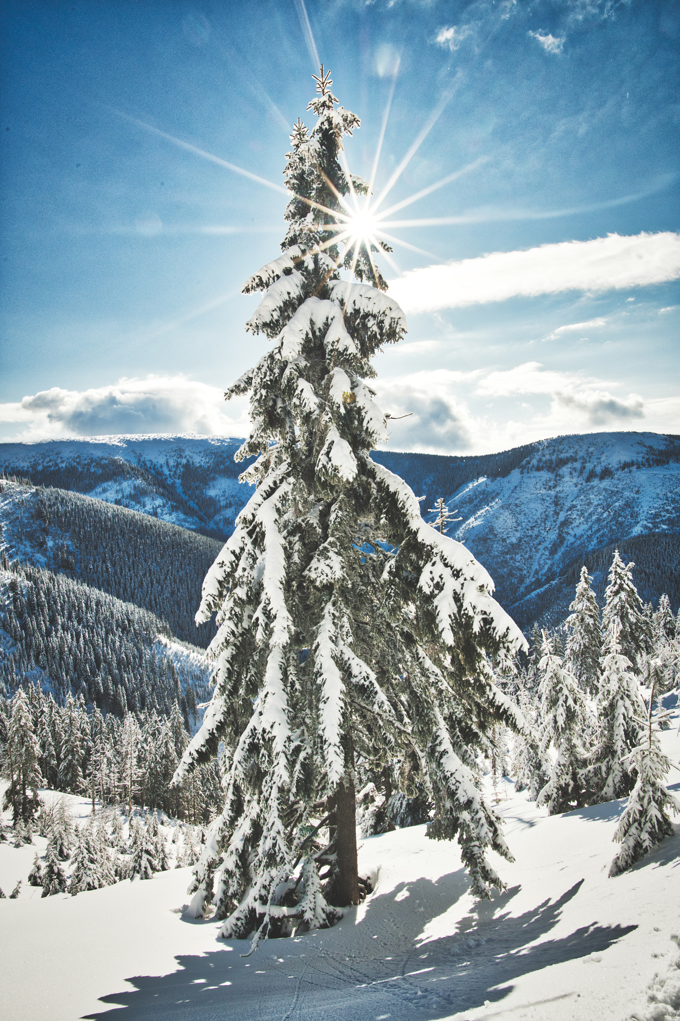 Nikon D850 + Nikon AF-S Nikkor 20mm F1.8G ED sample photo. Krkonoše photography