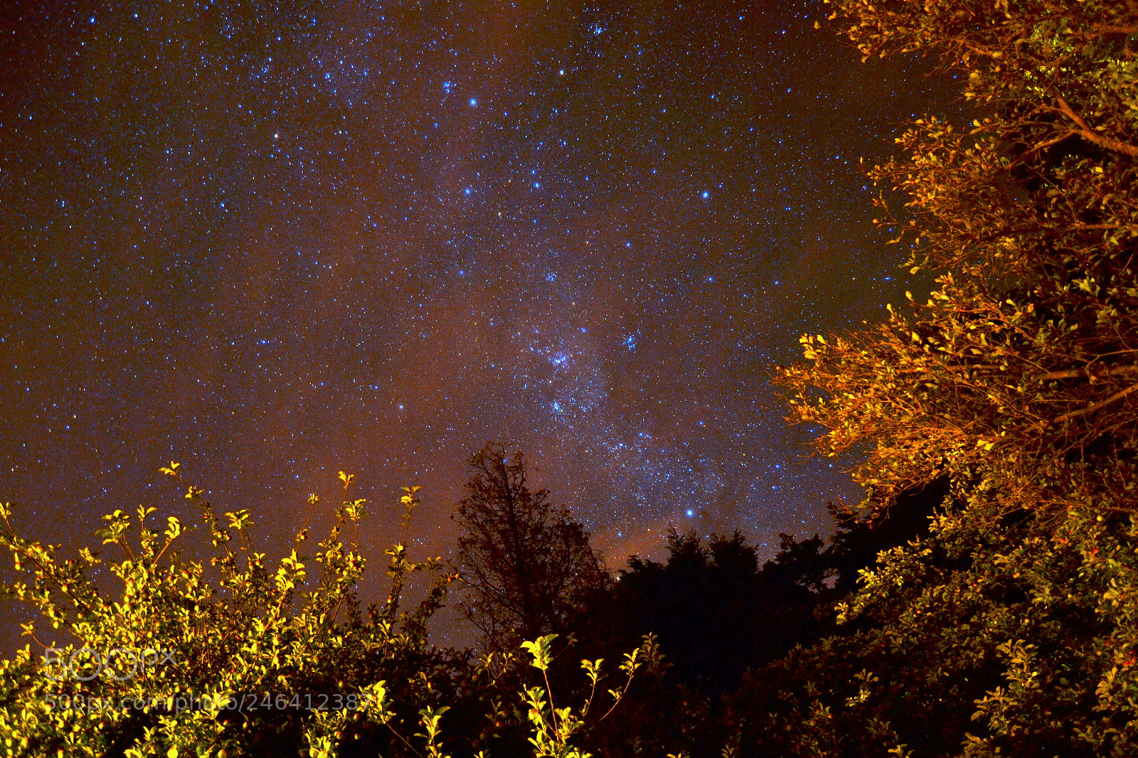 Nikon D3100 sample photo. 2017. bariloche y osorno photography