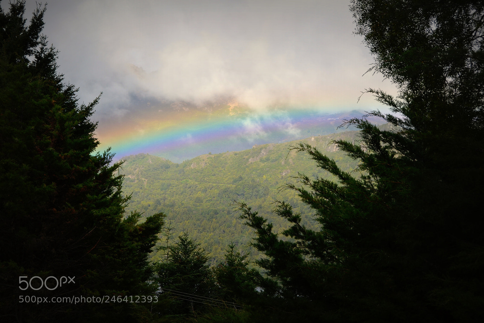 Nikon D3100 sample photo. 2017. bariloche y osorno photography