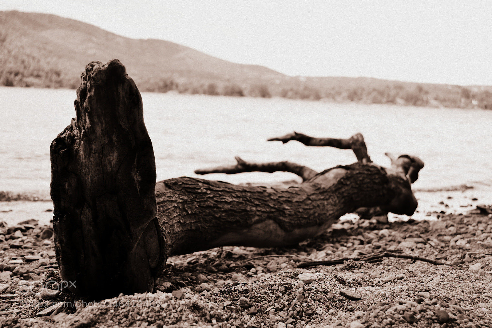 Nikon D3100 sample photo. 2017. bariloche y osorno photography