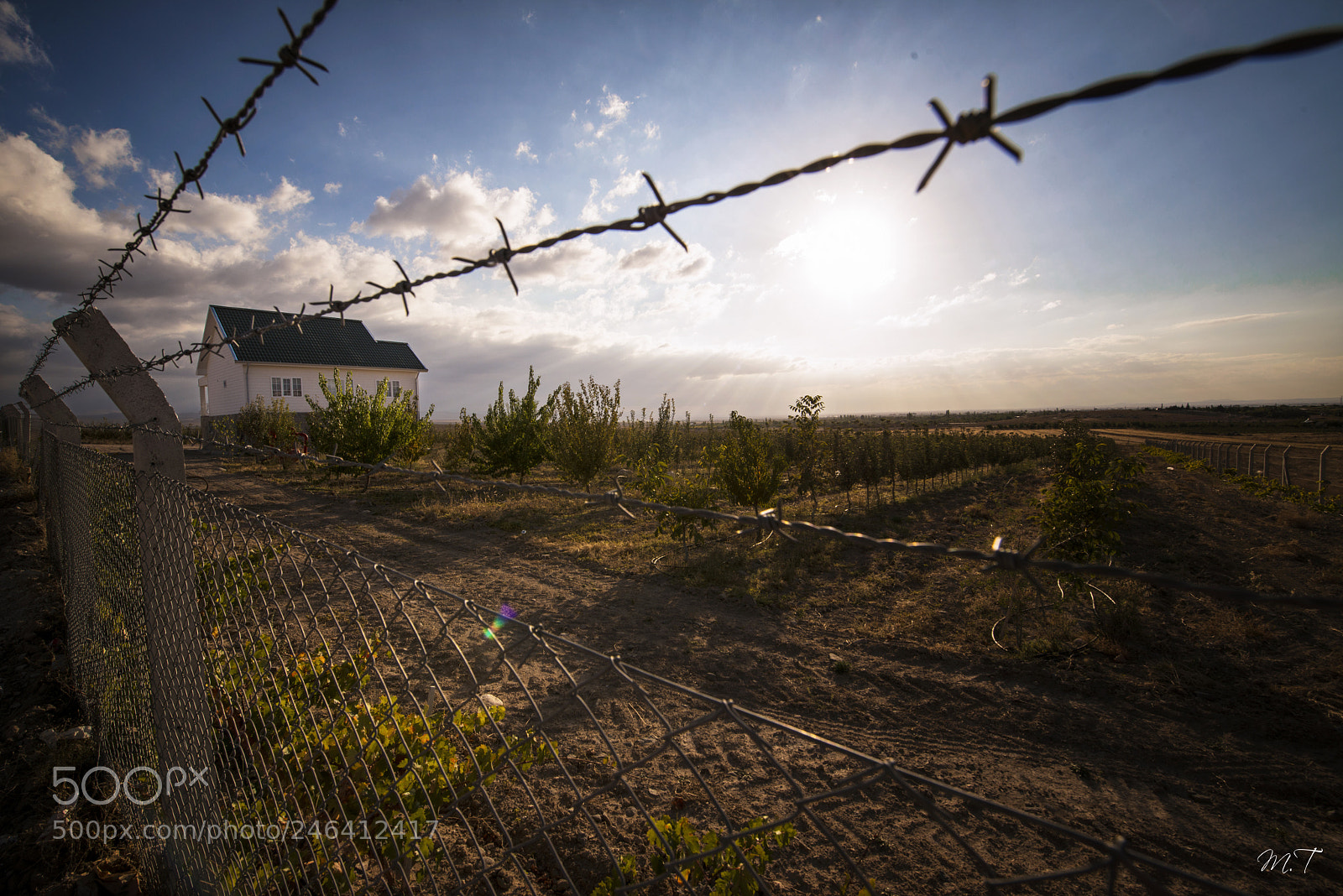 Nikon D800E sample photo. Umut photography
