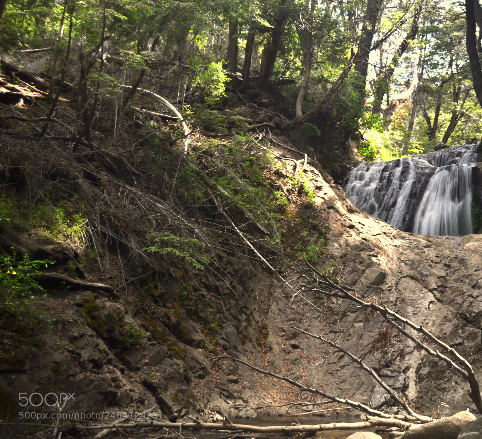 Nikon D3100 sample photo. 2017. bariloche y osorno photography