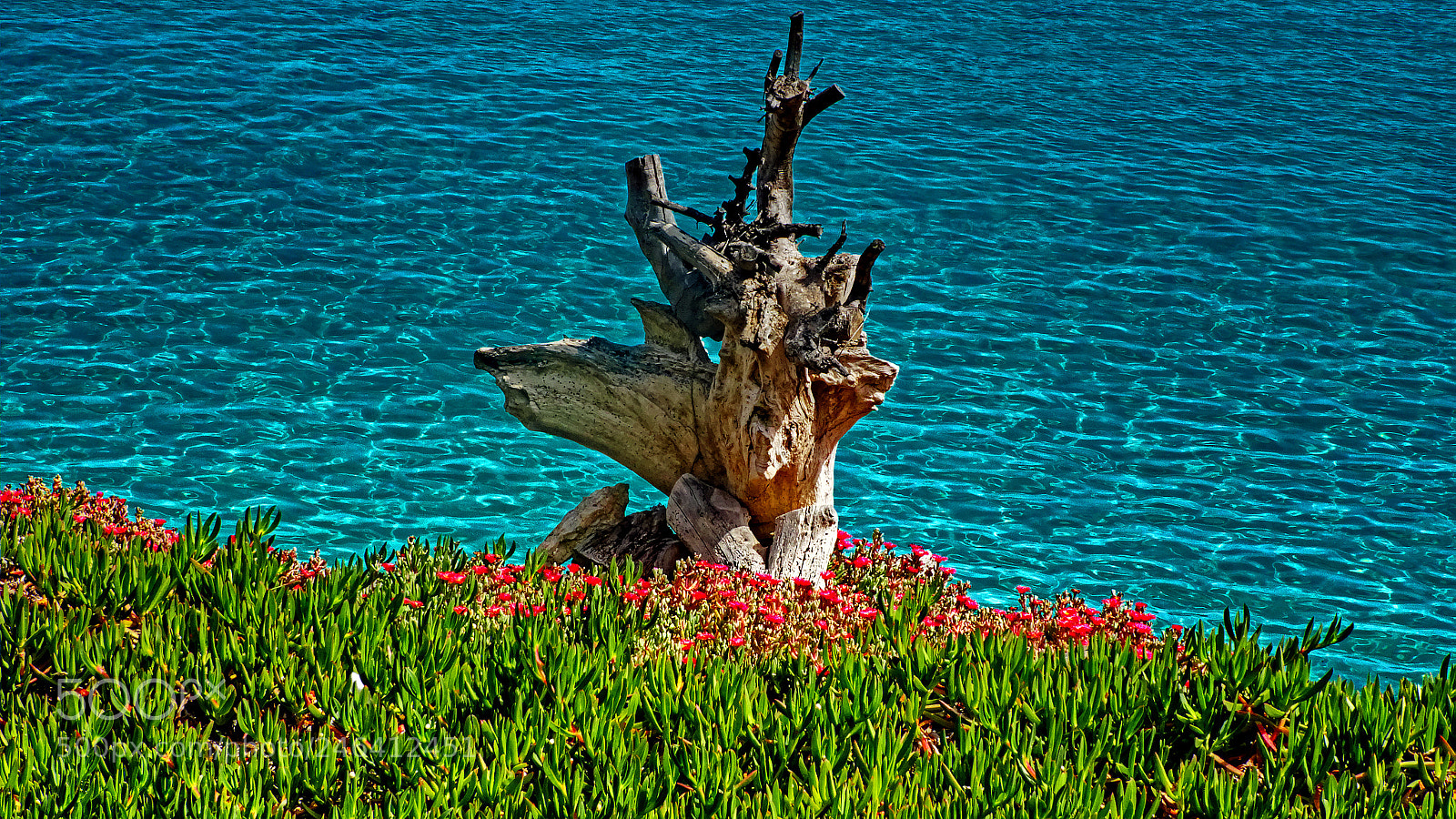 Sony DSC-HX90 sample photo. Levanzo photography