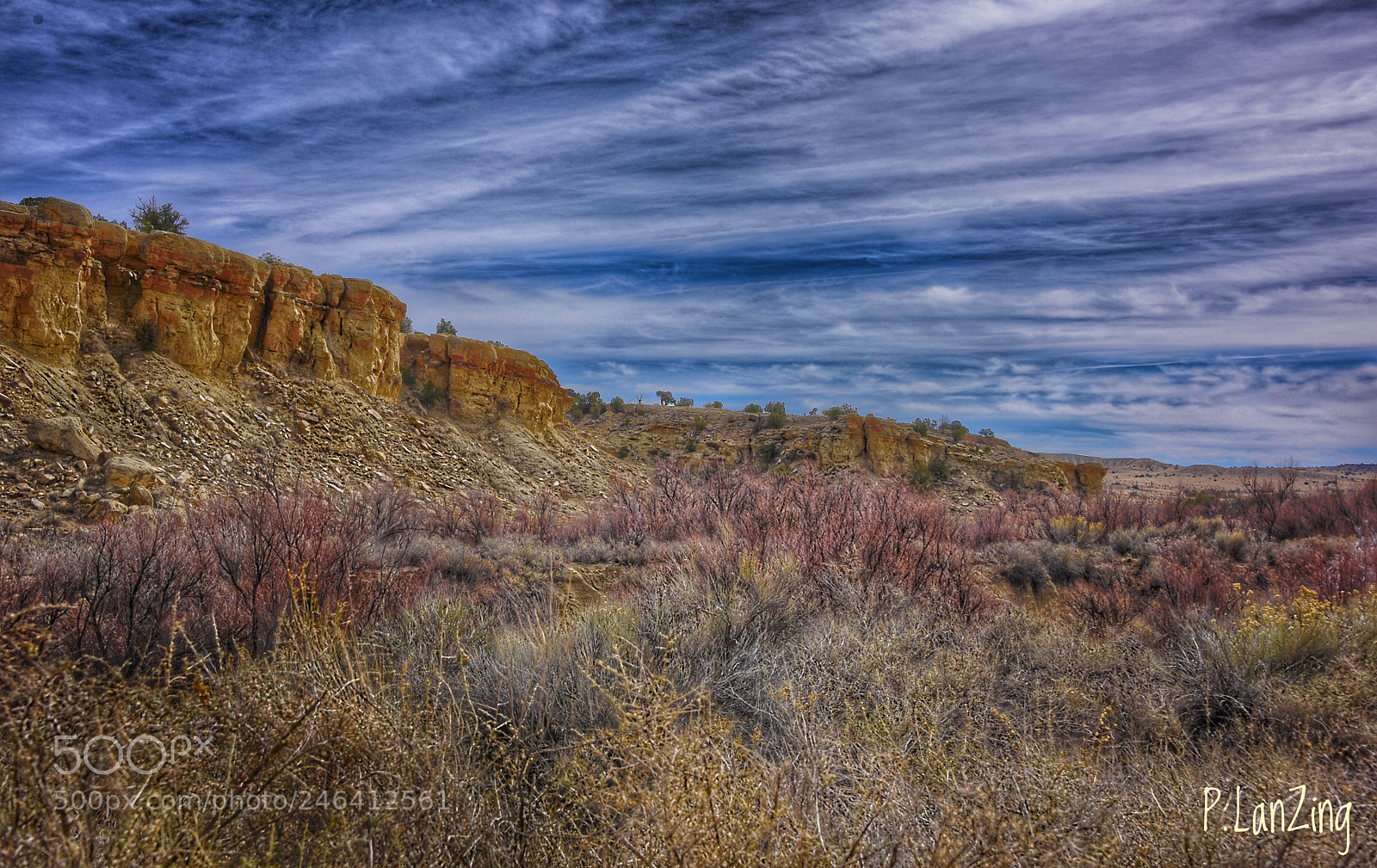 Nikon D810 sample photo. Ojito wilderness photography