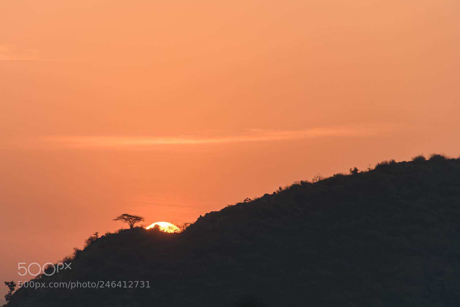 Nikon D850 sample photo. Here comes the sun photography