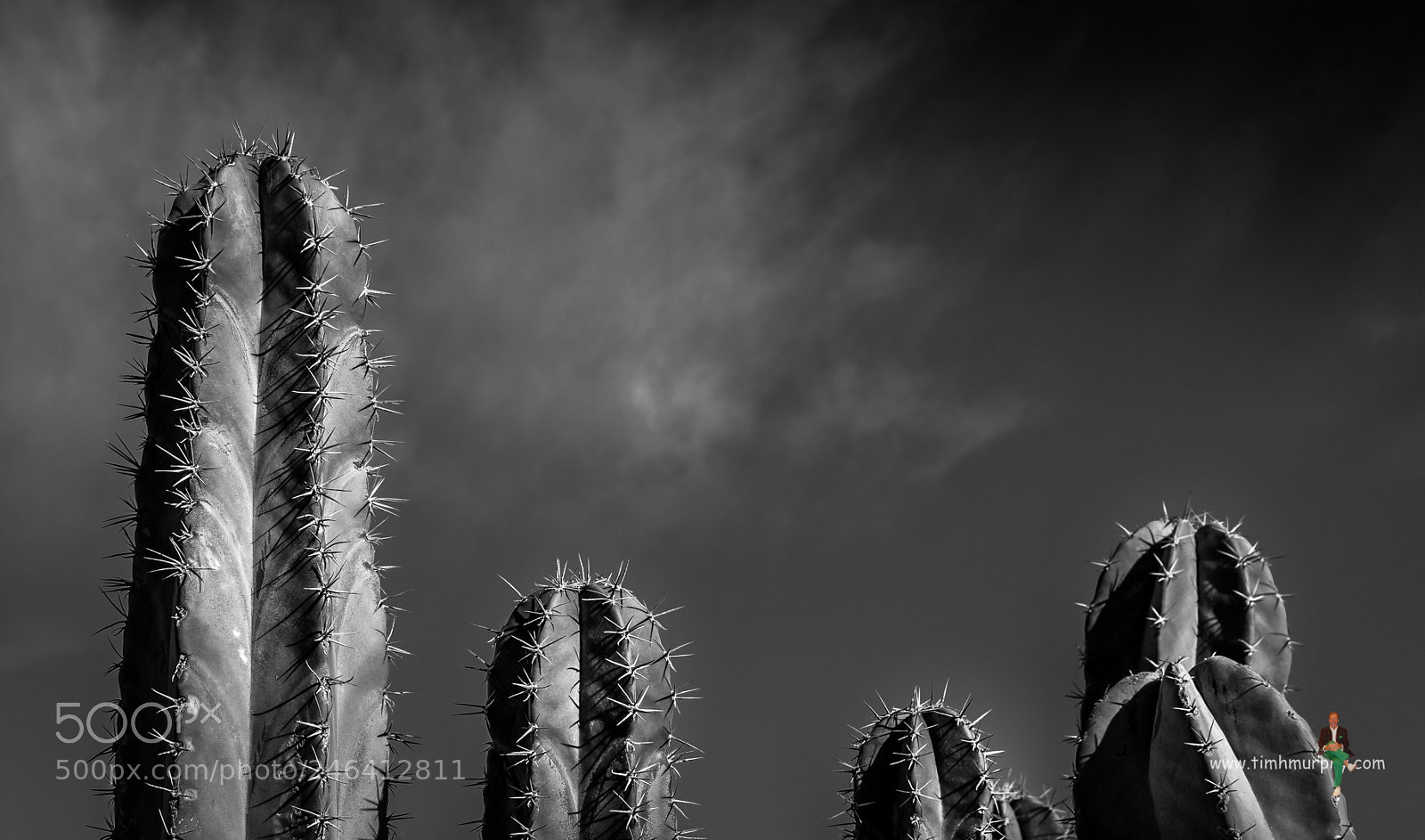 Nikon D7100 sample photo. Desert monochrome photography
