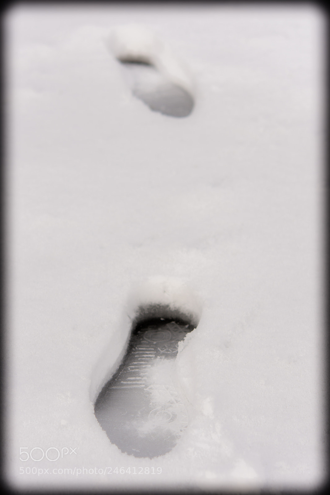 Nikon D7200 sample photo. Winter is coming photography