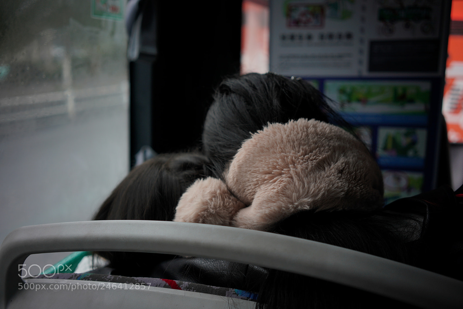 Sony a7R III sample photo. 依偎 photography