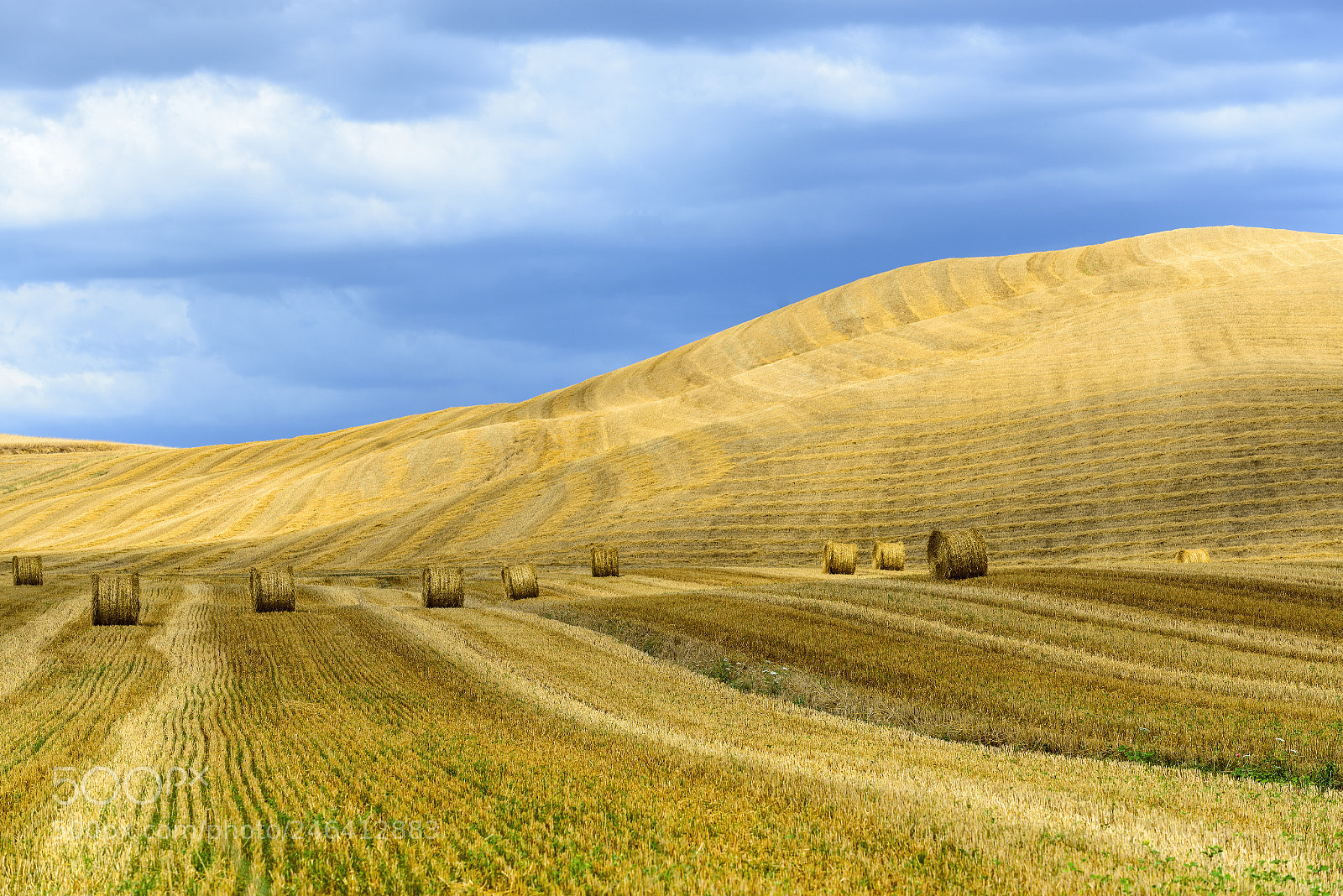 Nikon D800 sample photo. Crete senesi (tuscany, italy) photography