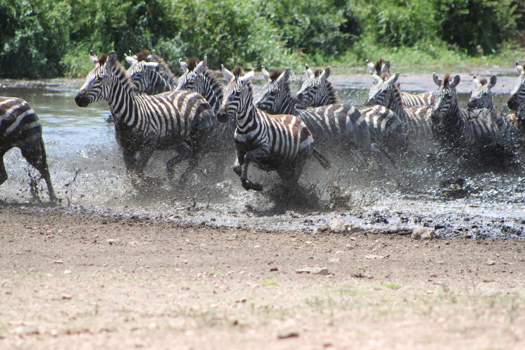 EF75-300mm f/4-5.6 sample photo. Tanzania photography