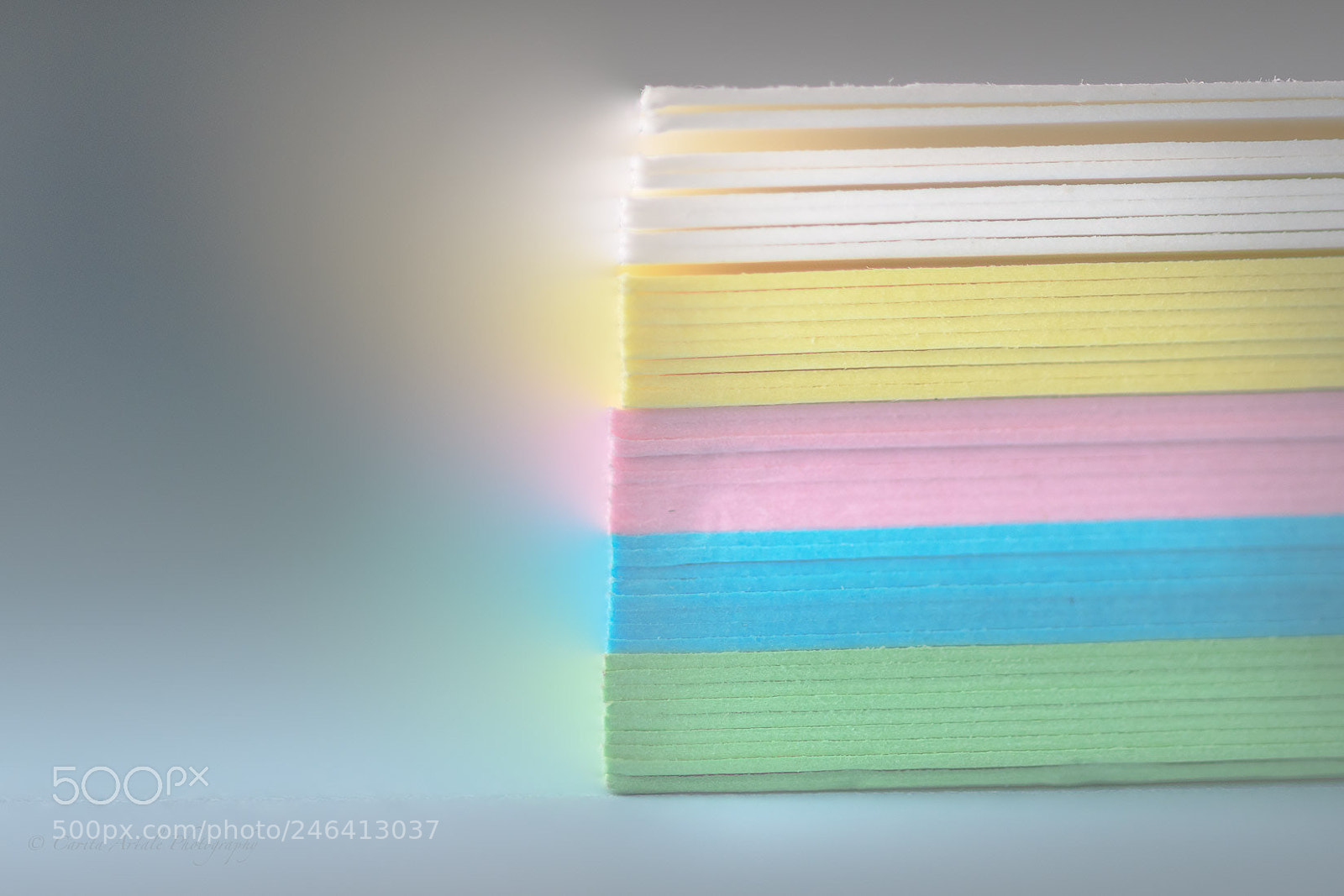 Nikon D500 sample photo. Rainbow colours photography