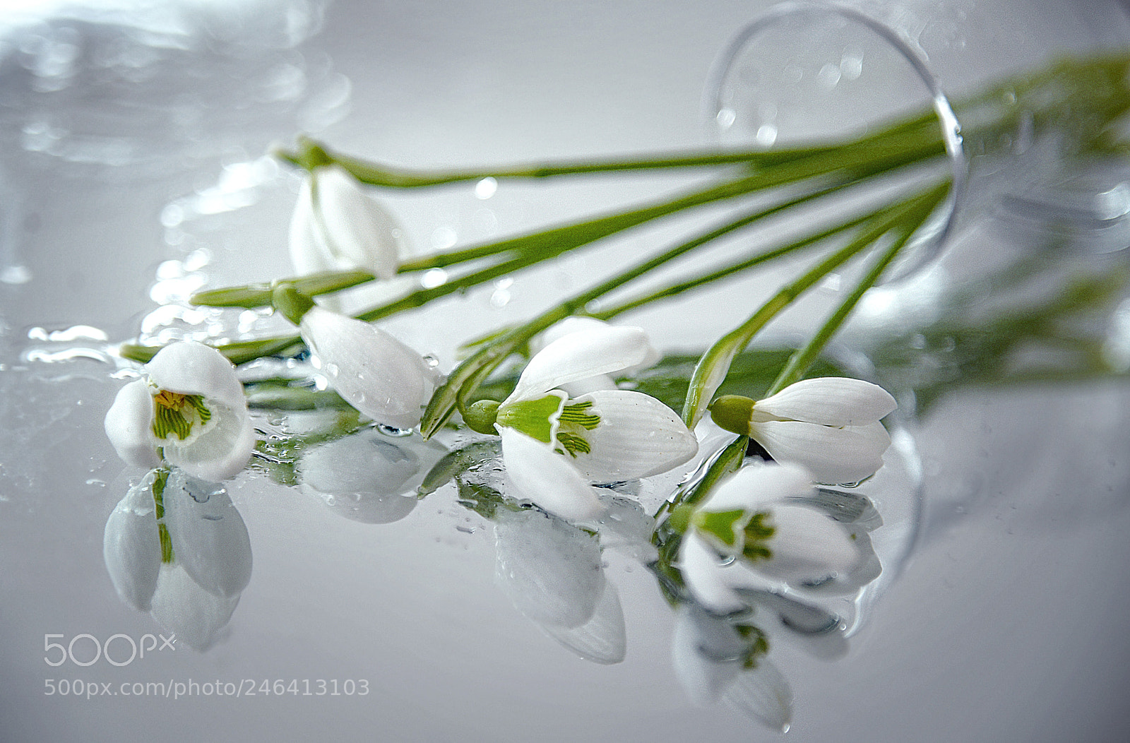Nikon D610 sample photo. The first ... photography