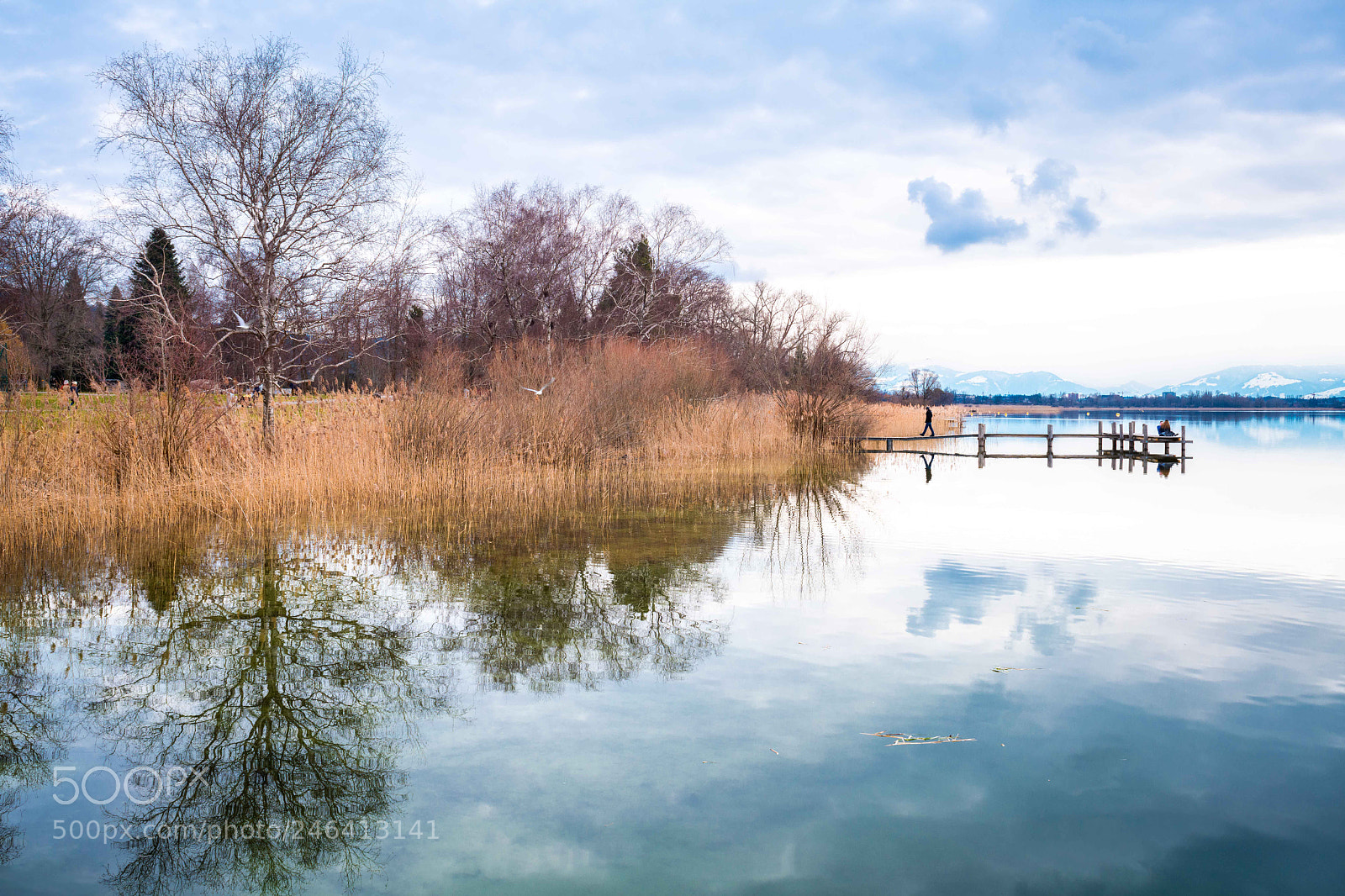 Nikon D850 sample photo. Swiss lake photography