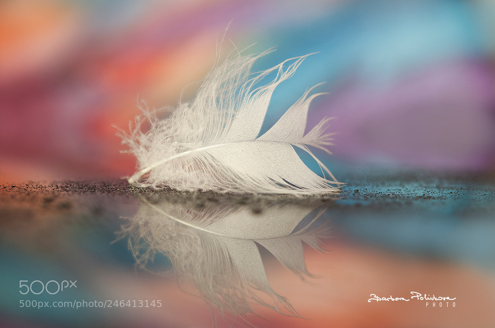 Nikon D300S sample photo. Reflection photography