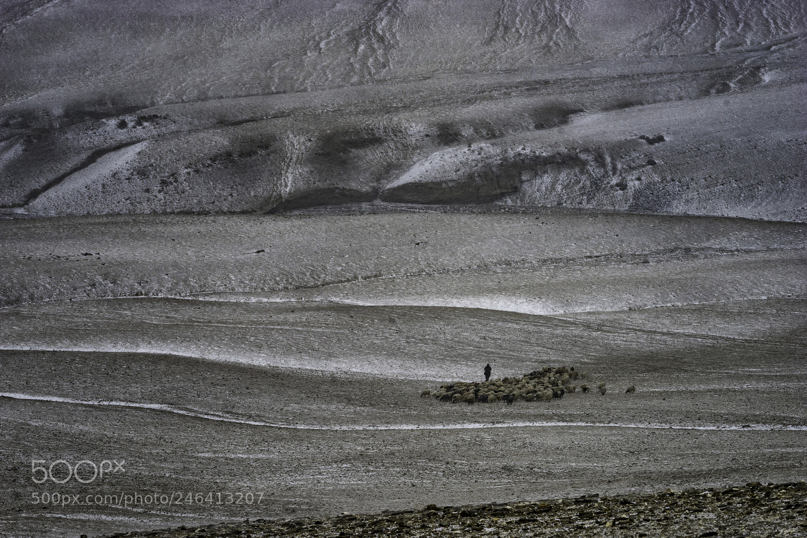 Sony a7 II sample photo. Life_dsc02187.jpg photography