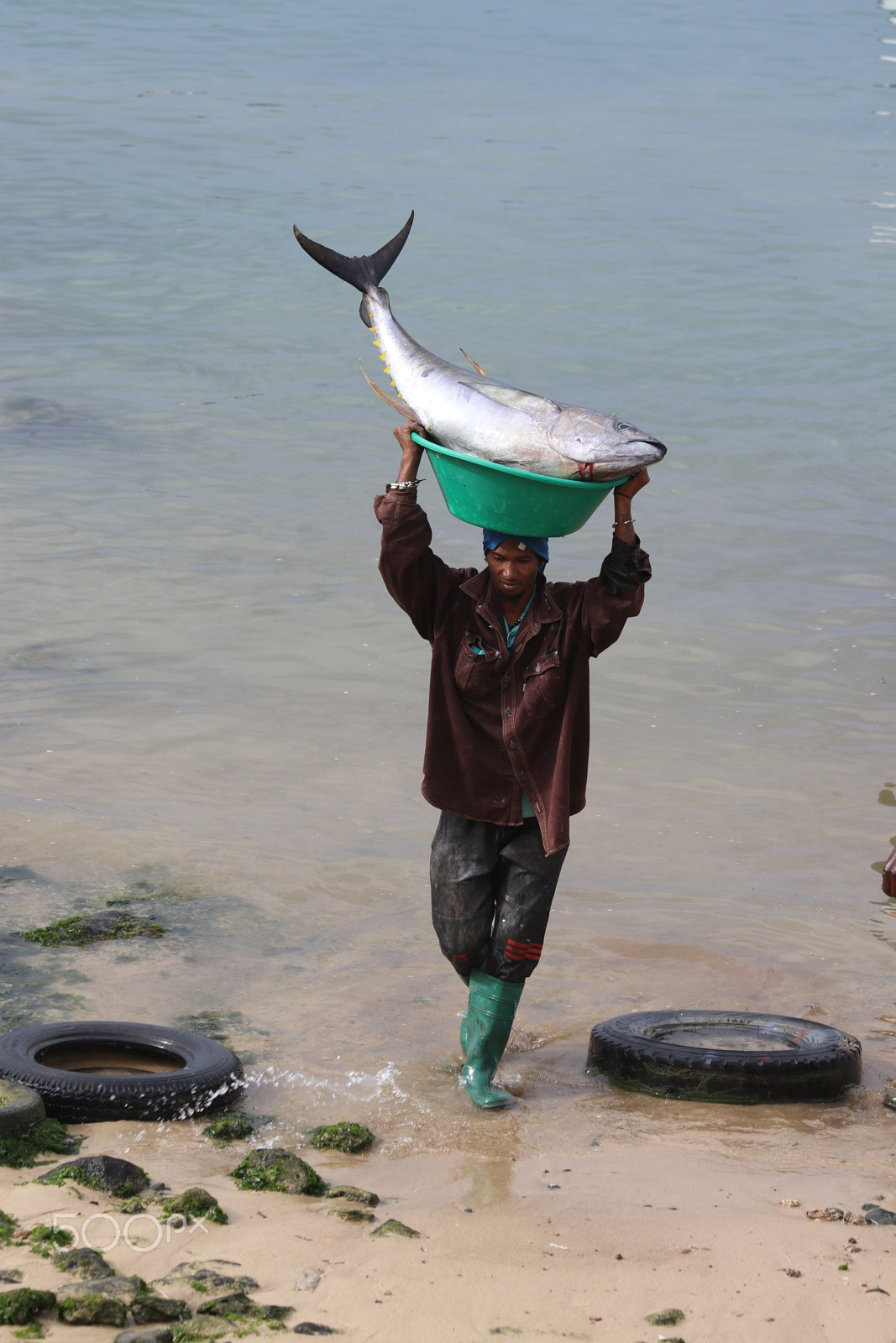 Canon EF 70-300mm F4-5.6 IS USM sample photo. Yellow fin tuna in cabo verde photography