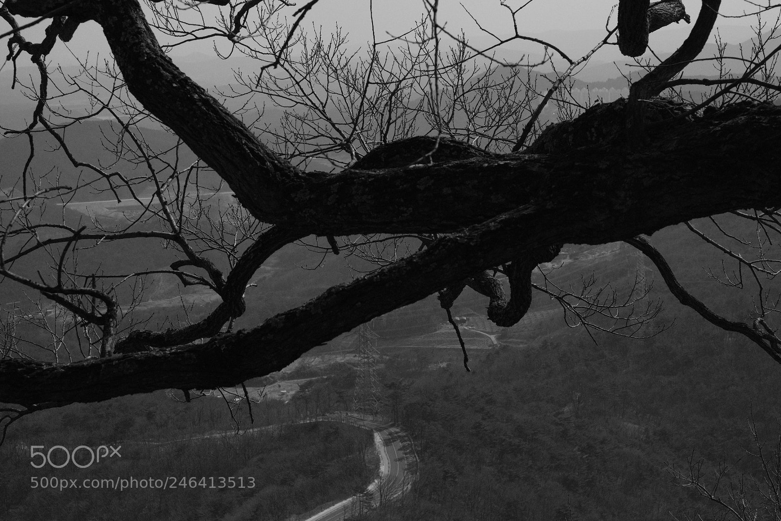 Fujifilm X-Pro2 sample photo. Black mountin. photography