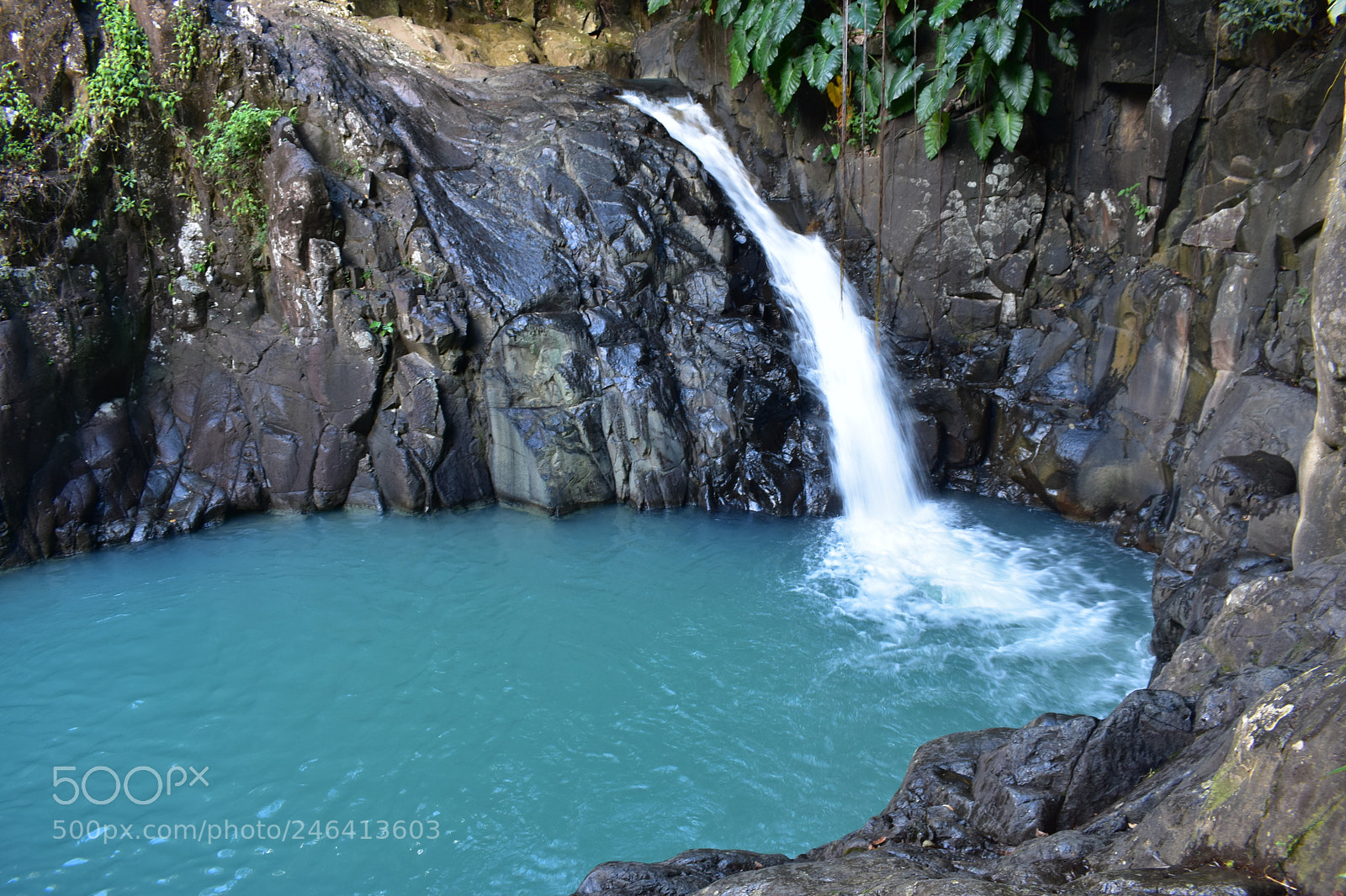 Nikon D3400 sample photo. Cascade photography