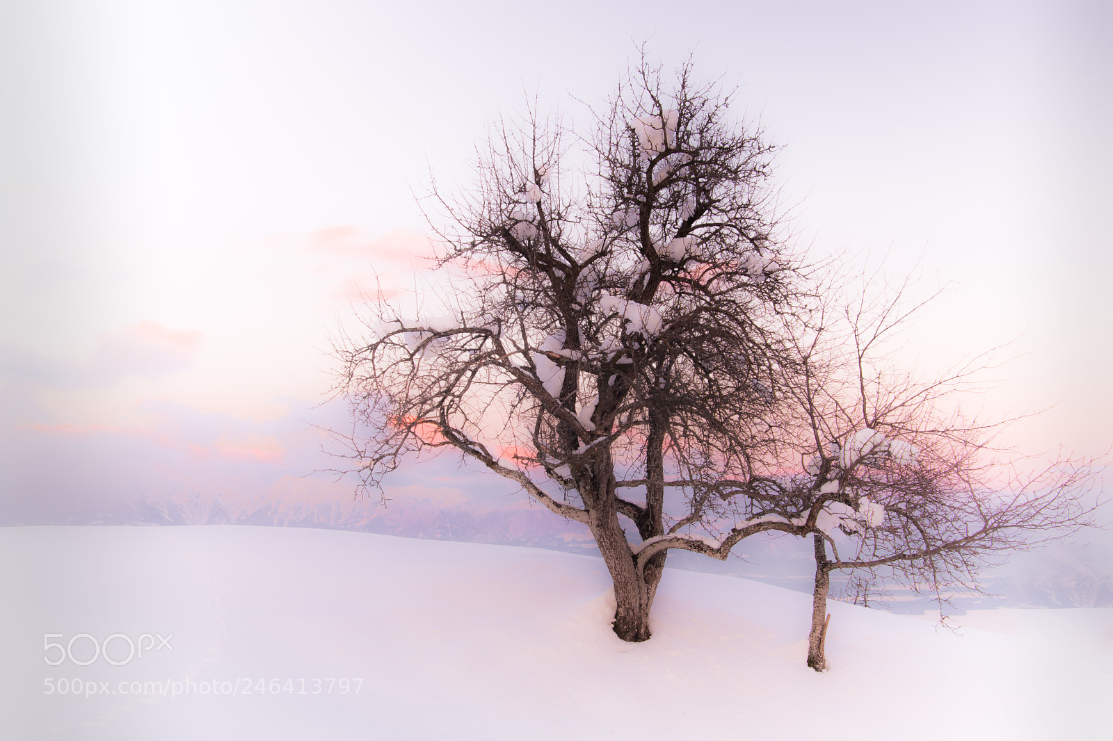 Nikon D500 sample photo. Winter lll photography
