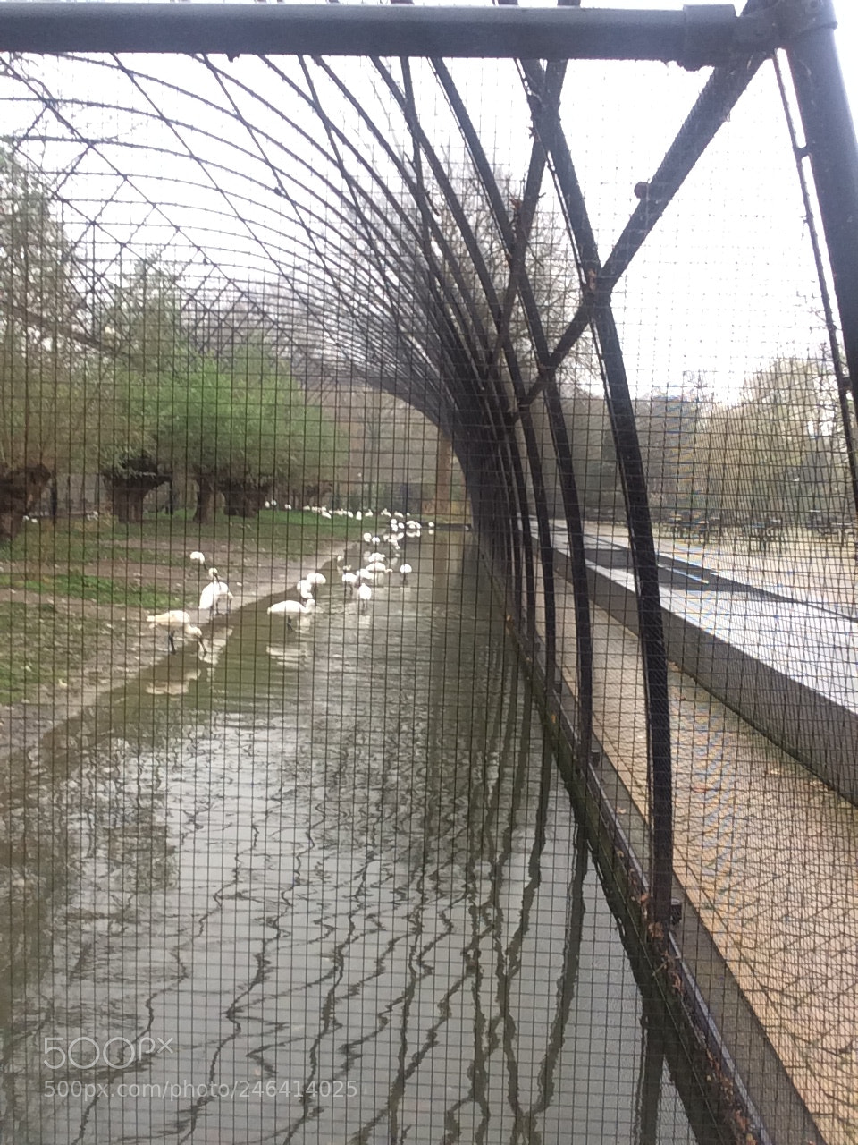 Apple iPhone 5s sample photo. Zoo photography
