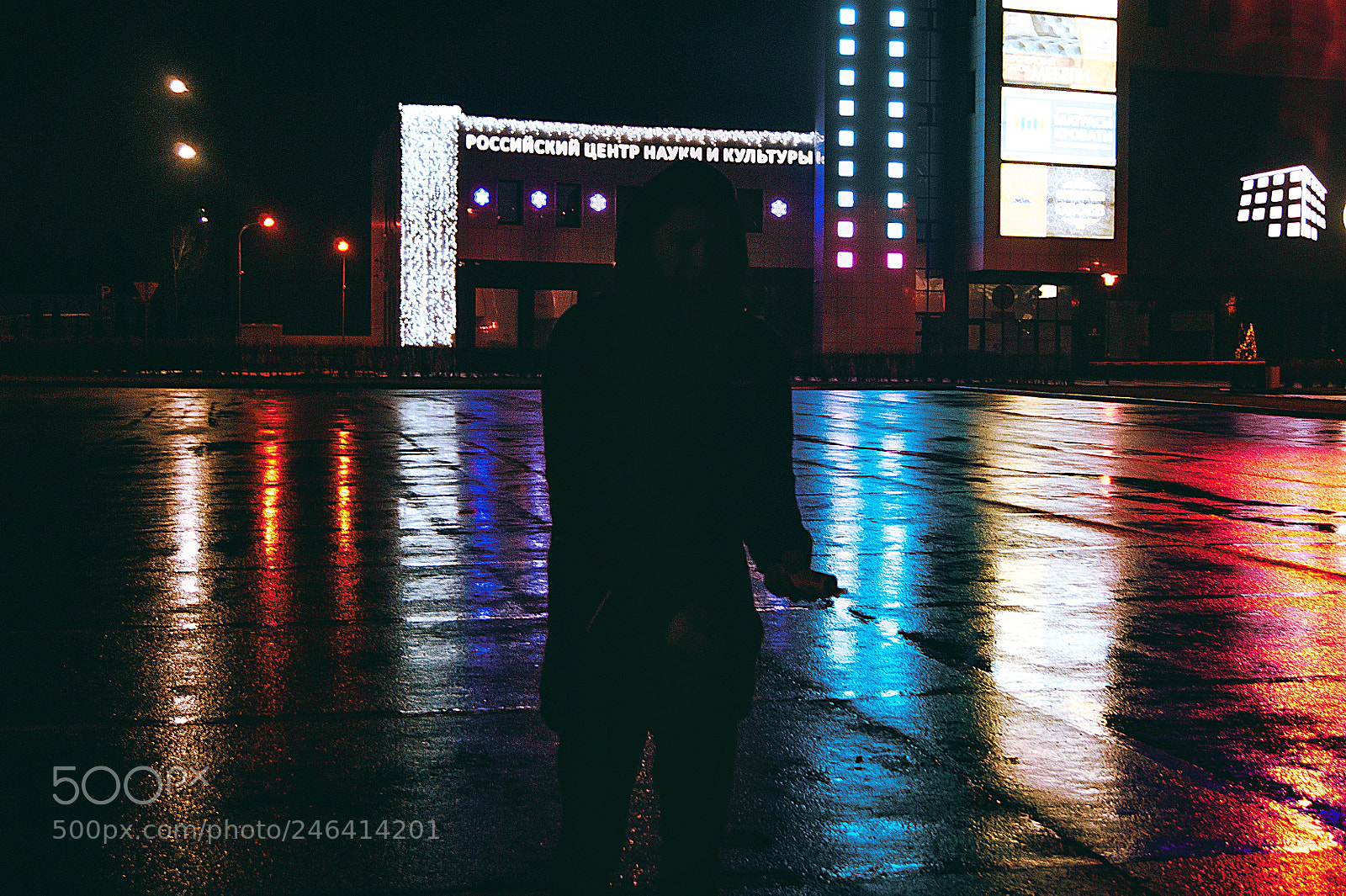 Sony Alpha DSLR-A390 sample photo. Night rain photography