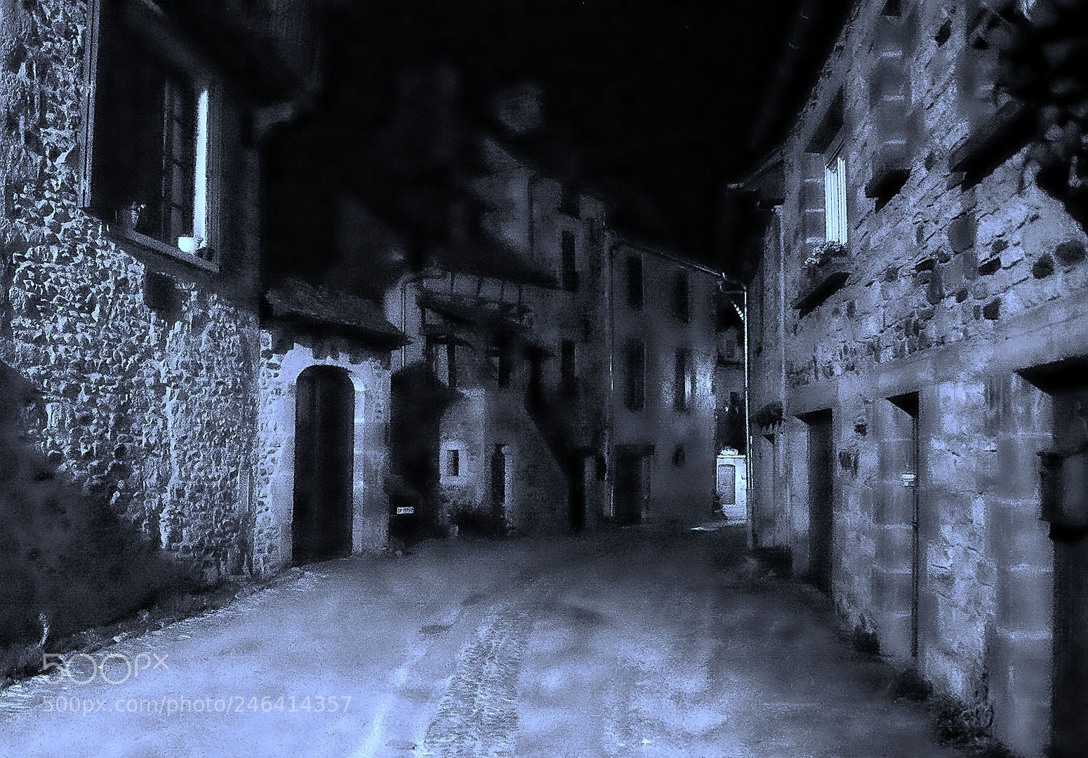Nikon D610 sample photo. The night in the photography