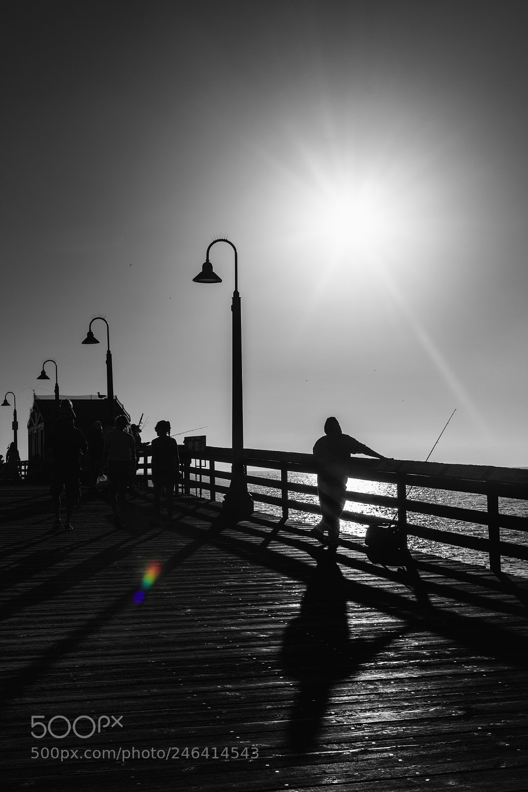 Nikon D5600 sample photo. Eopath_98 photography