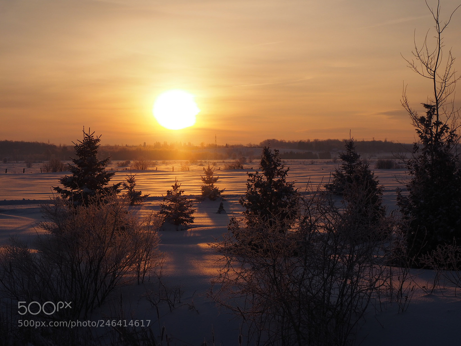 Olympus OM-D E-M1 sample photo. Winter sunrise photography