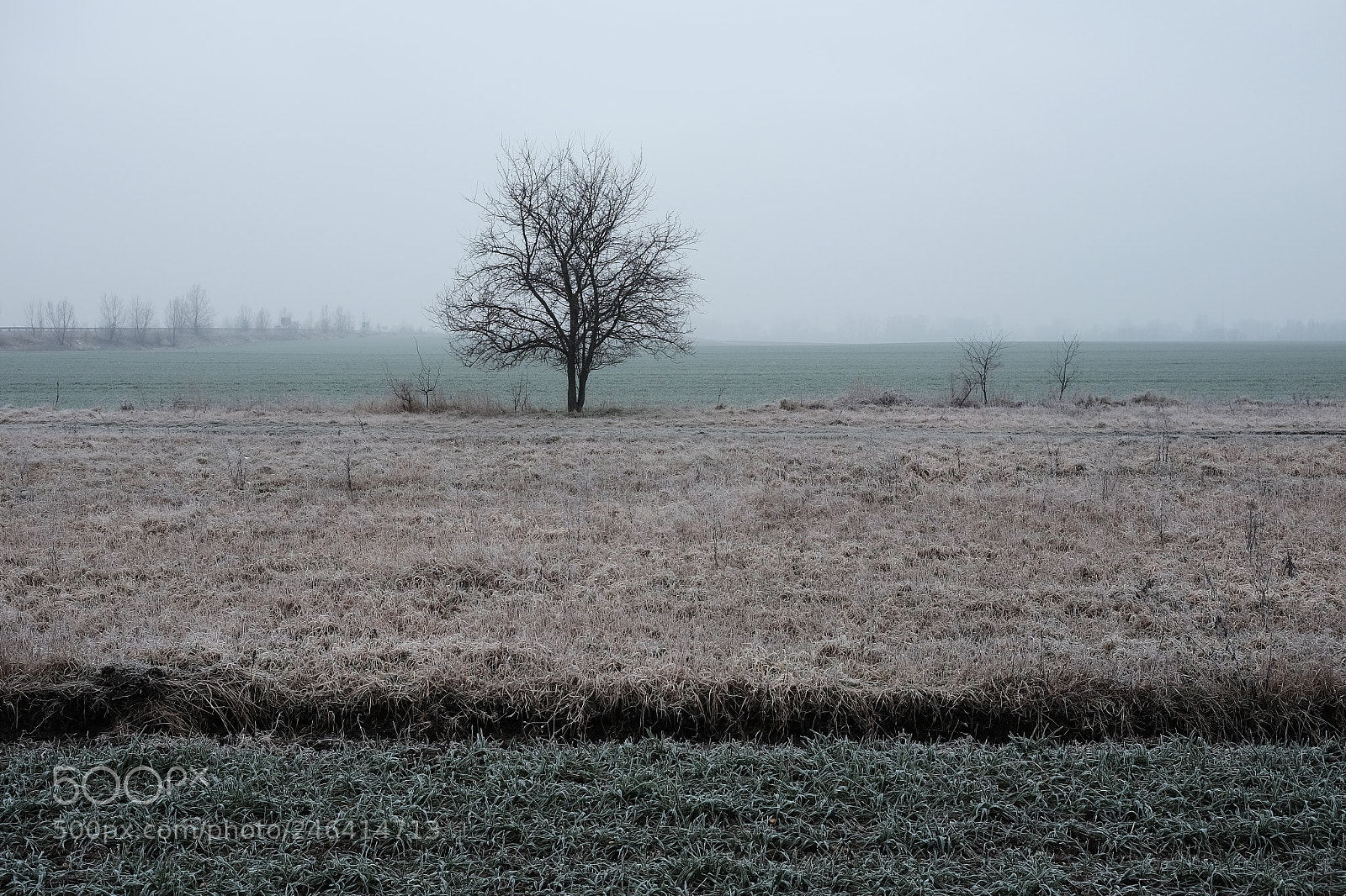 Fujifilm X-E2 sample photo. Fa a mez n photography