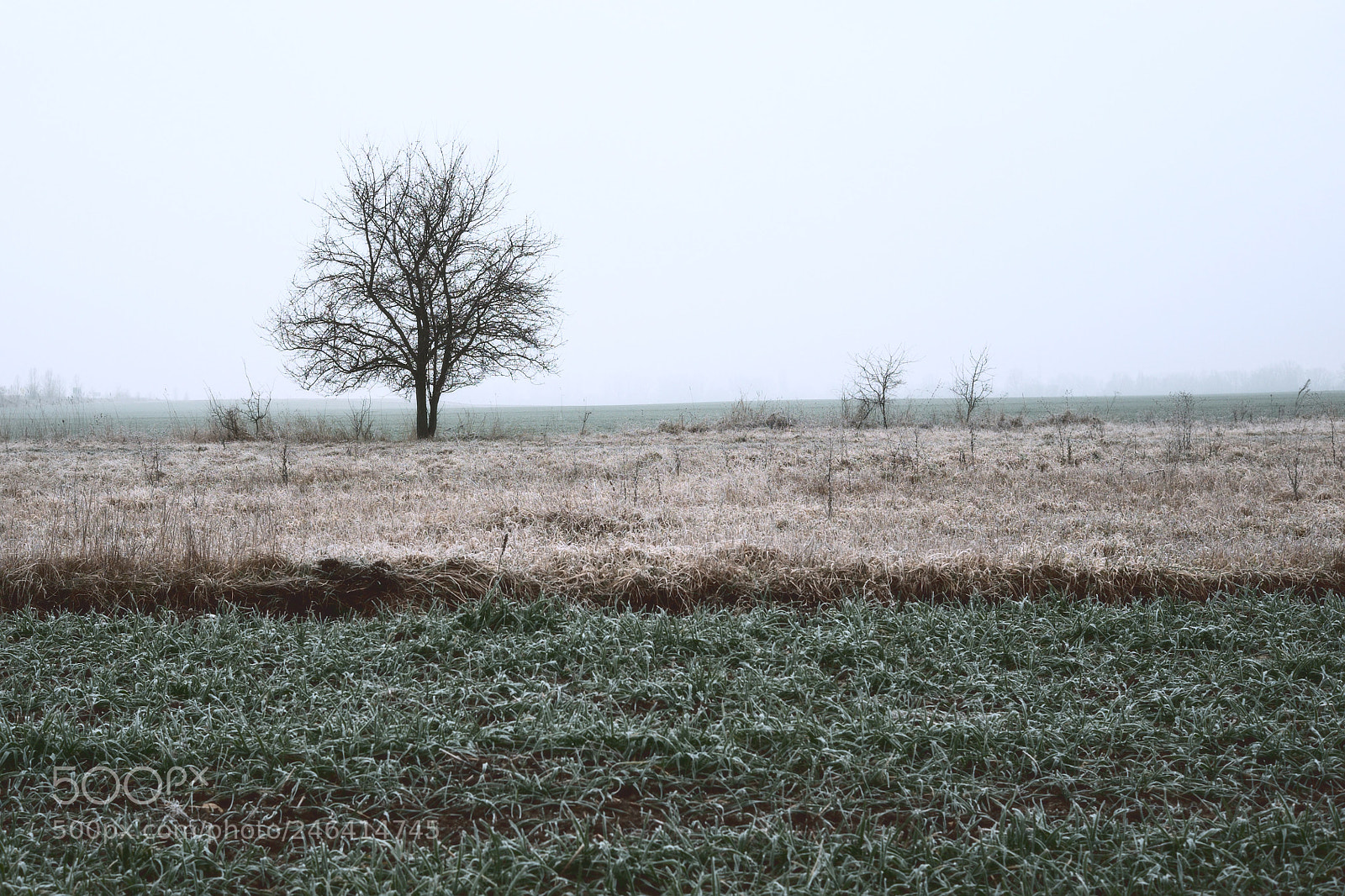 Fujifilm X-E2 sample photo. Fa a mez n photography
