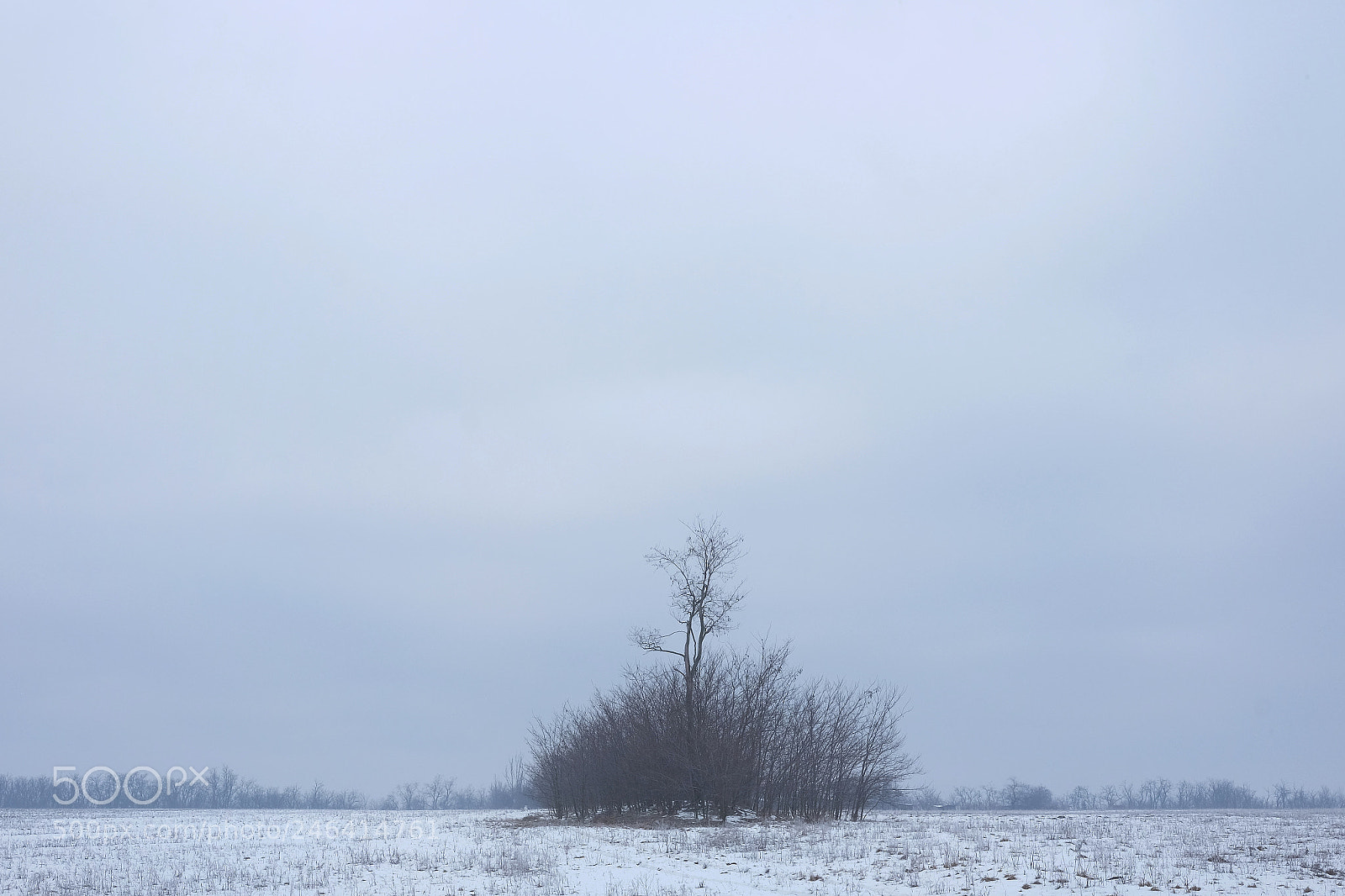 Fujifilm X-E2 sample photo. One photography