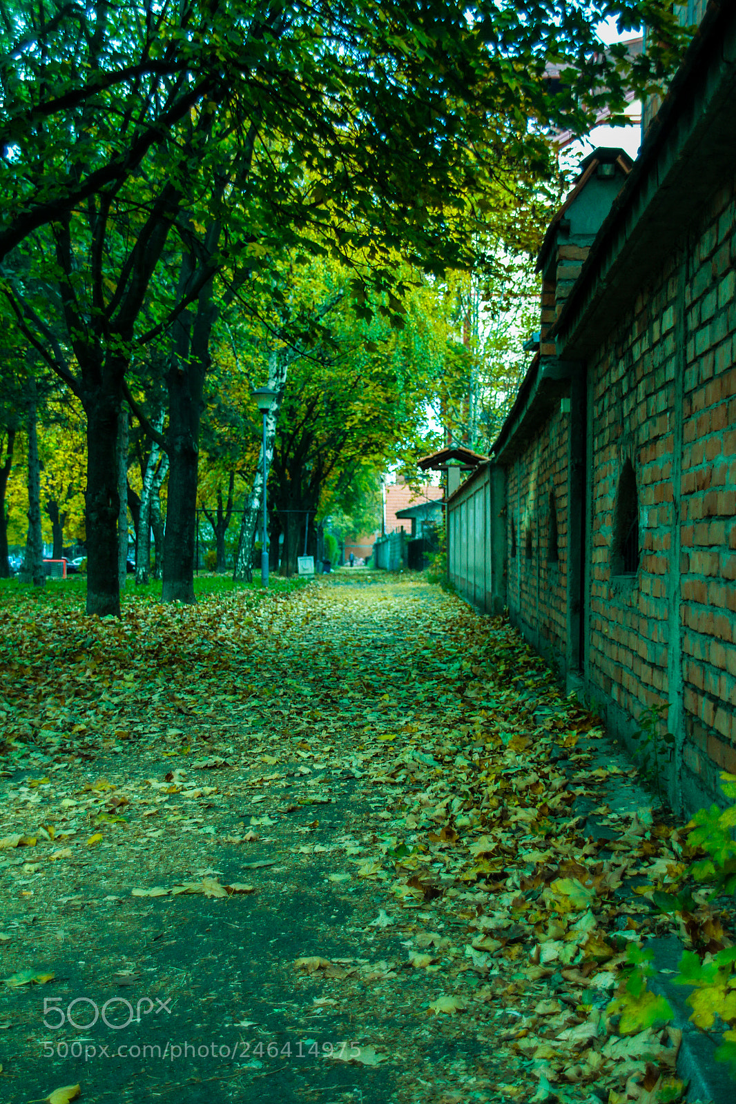 Canon EOS 60D sample photo. Landscape of the park photography