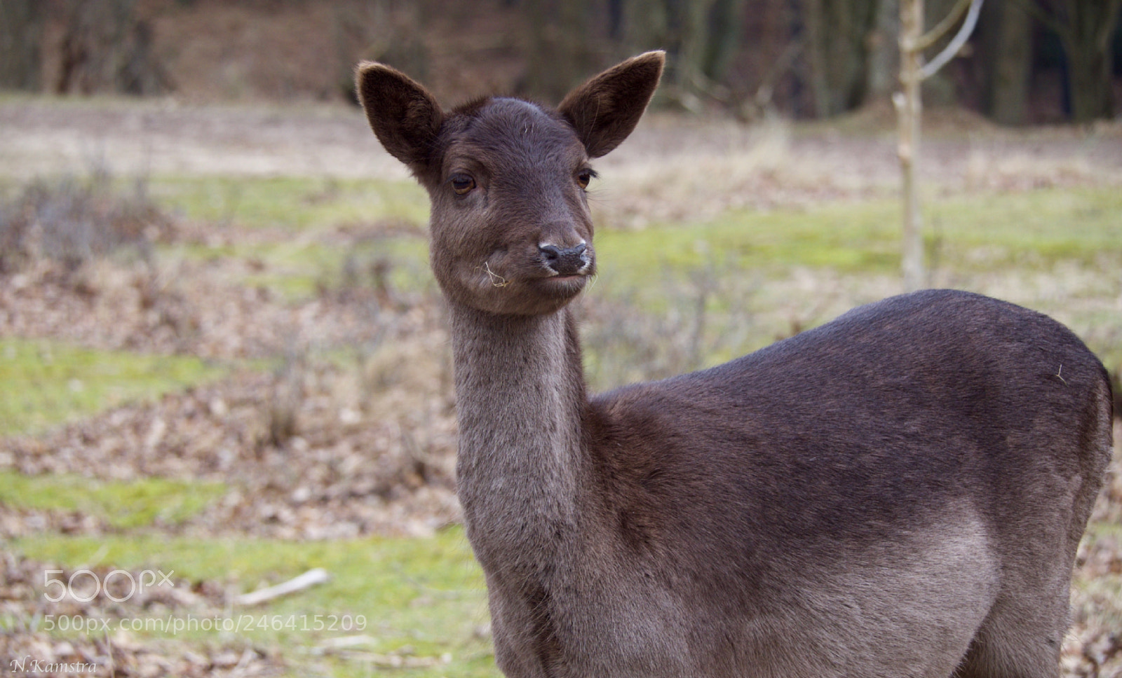 Olympus OM-D E-M10 II sample photo. Hello weekend photography