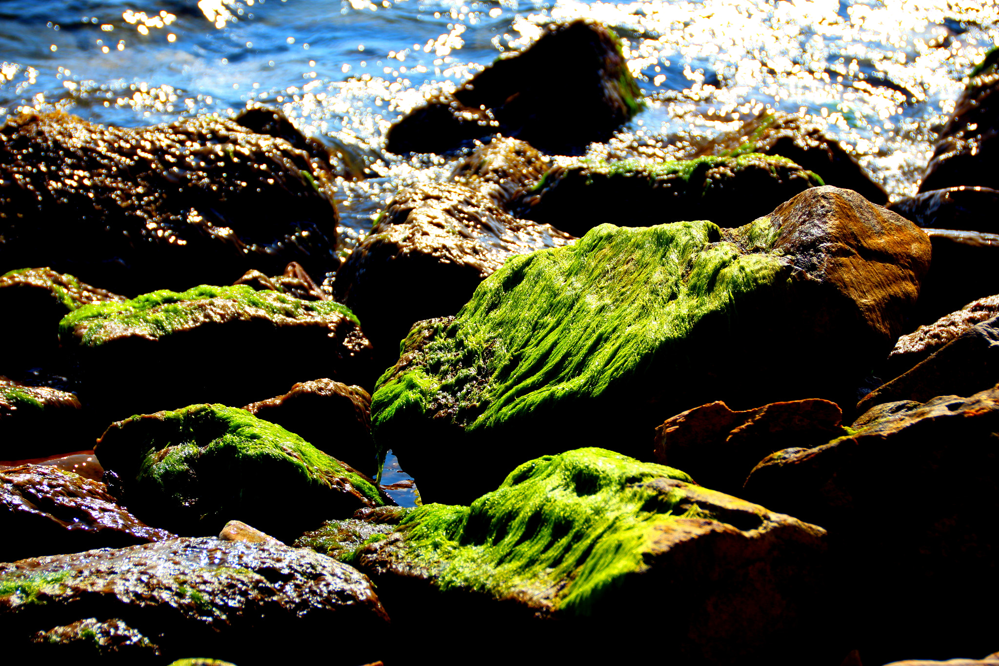 Canon EOS 650D (EOS Rebel T4i / EOS Kiss X6i) sample photo. Colores photography