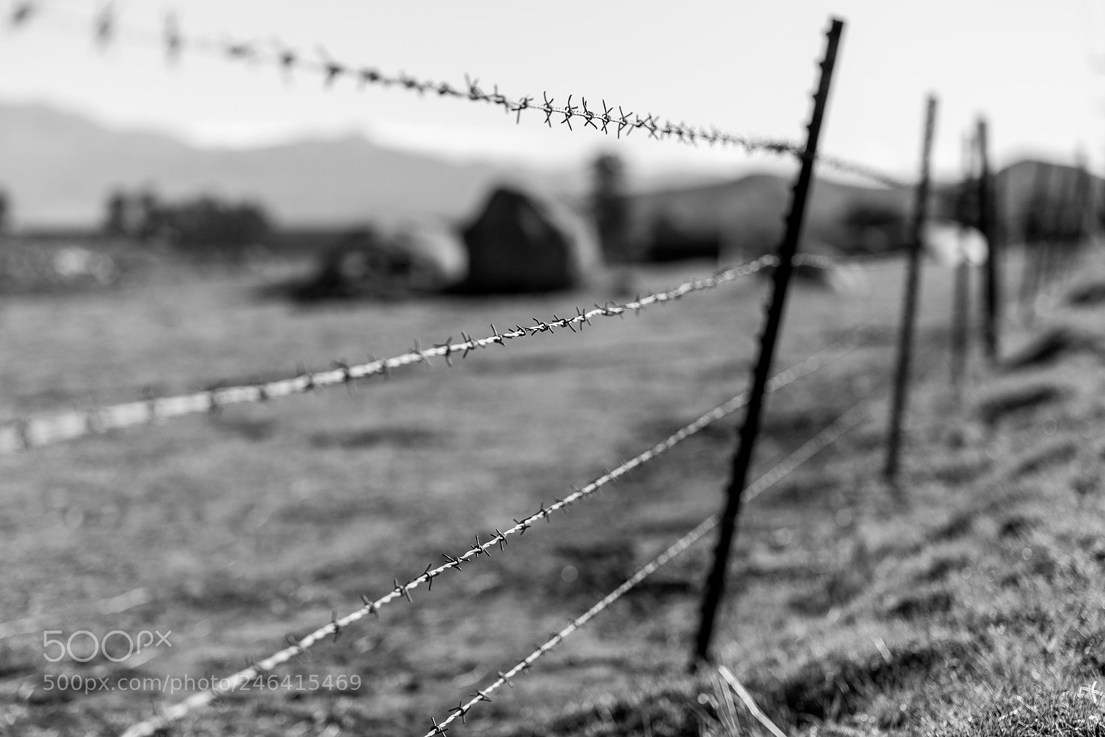 Canon EOS 6D sample photo. Barbed fence photography