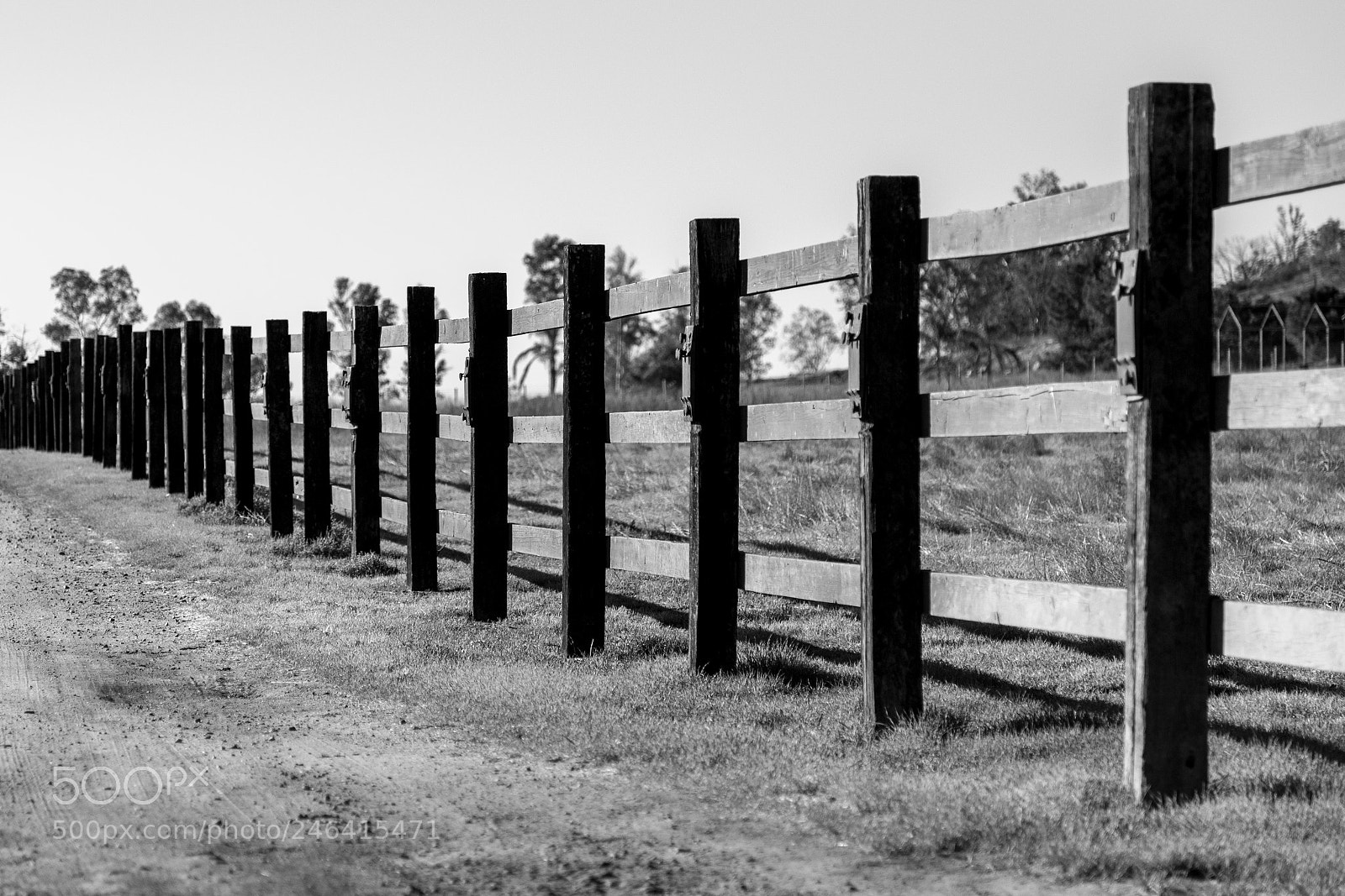Canon EOS 6D sample photo. Fence line photography