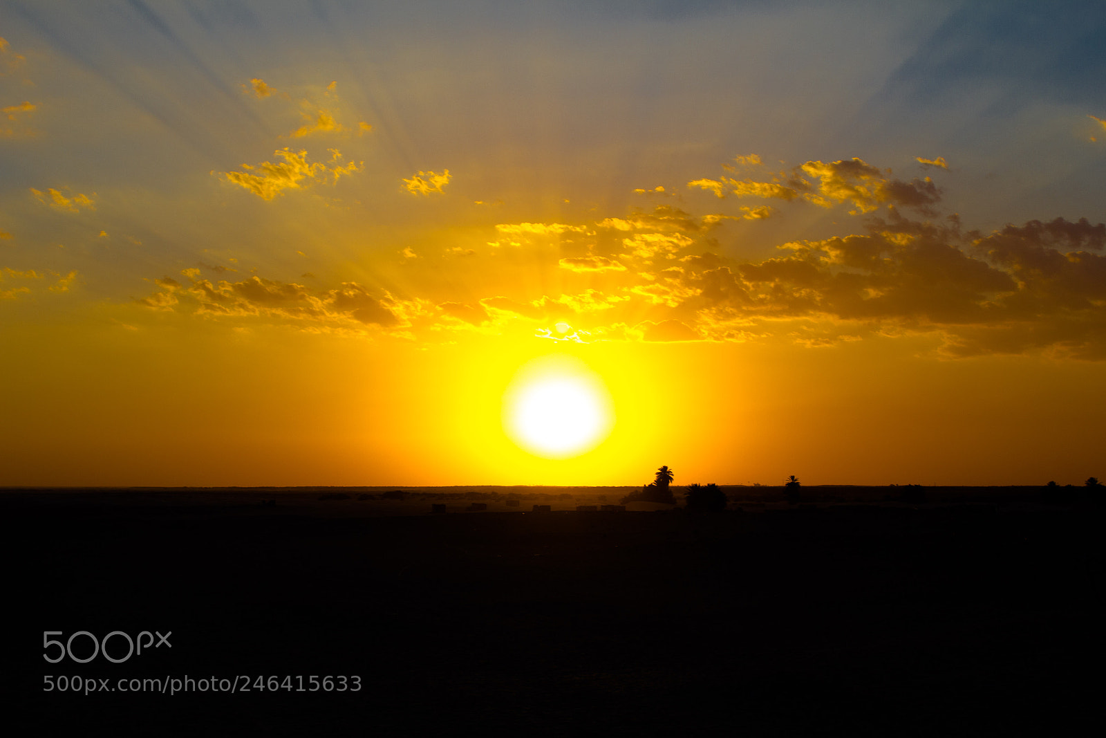 Canon EOS 550D (EOS Rebel T2i / EOS Kiss X4) sample photo. Desert of dreams photography