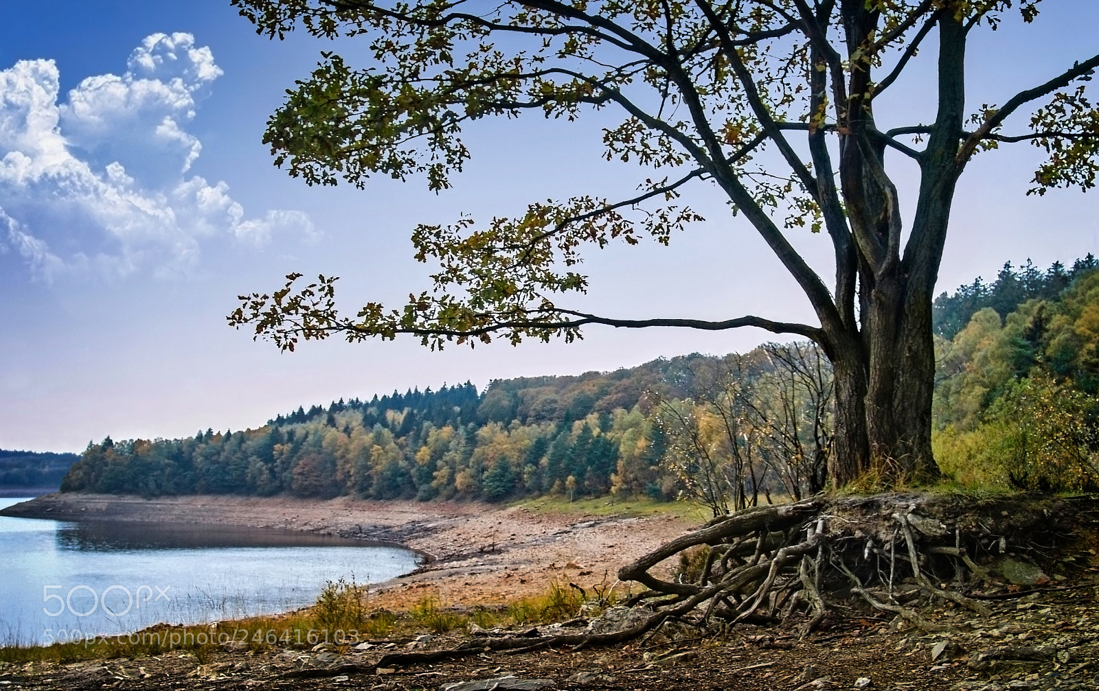Sony DSC-F828 sample photo. Lac d' eupen belgium photography