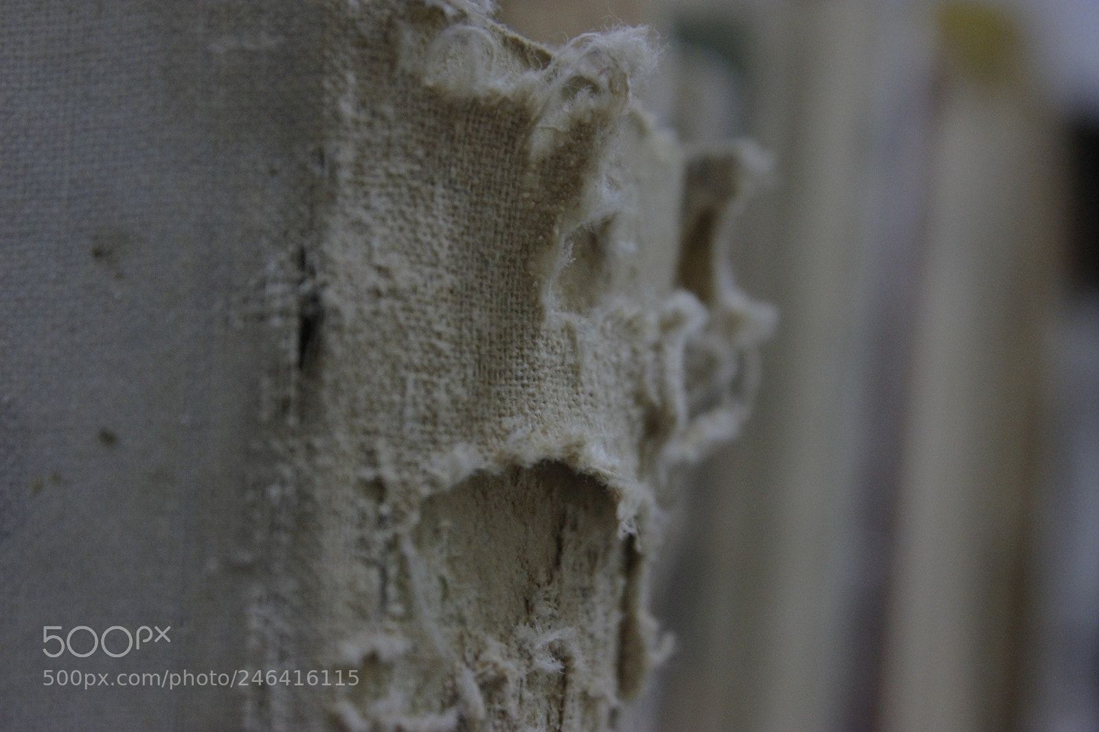 Canon EOS 600D (Rebel EOS T3i / EOS Kiss X5) sample photo. Mg photography