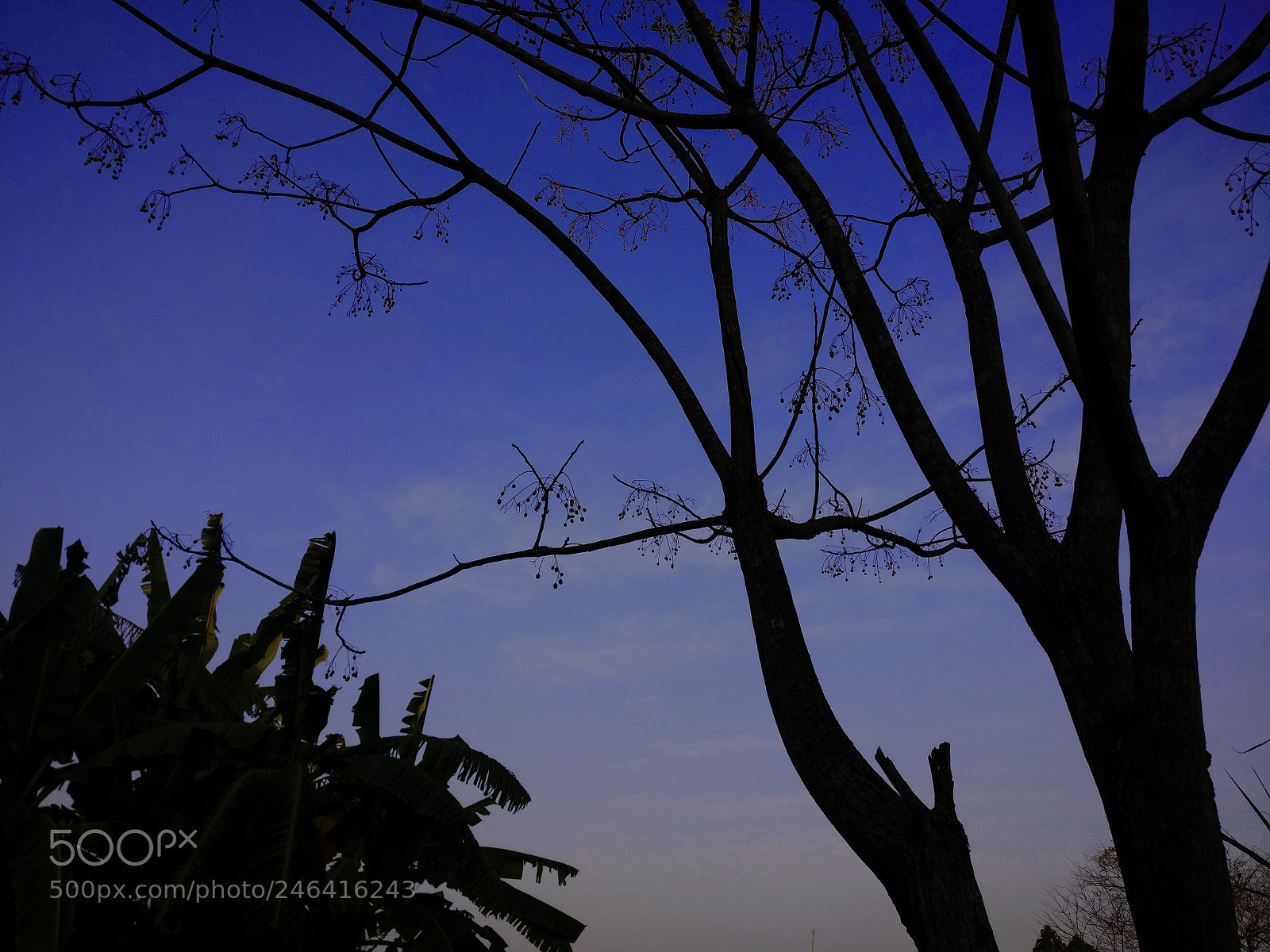 OnePlus A3010 sample photo. Untitled photography